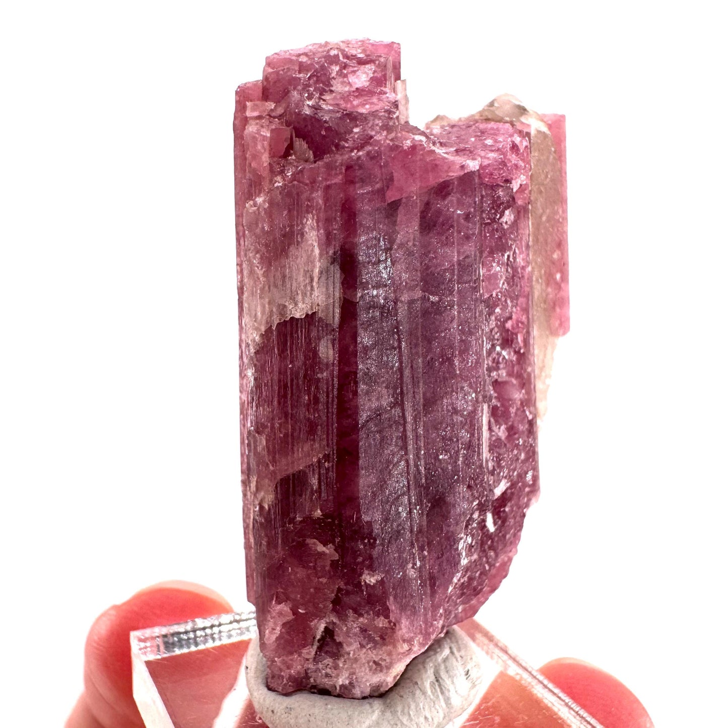 Rossmanite (Tanco Mine, Canada) | pink tourmaline crystal, rare minerals