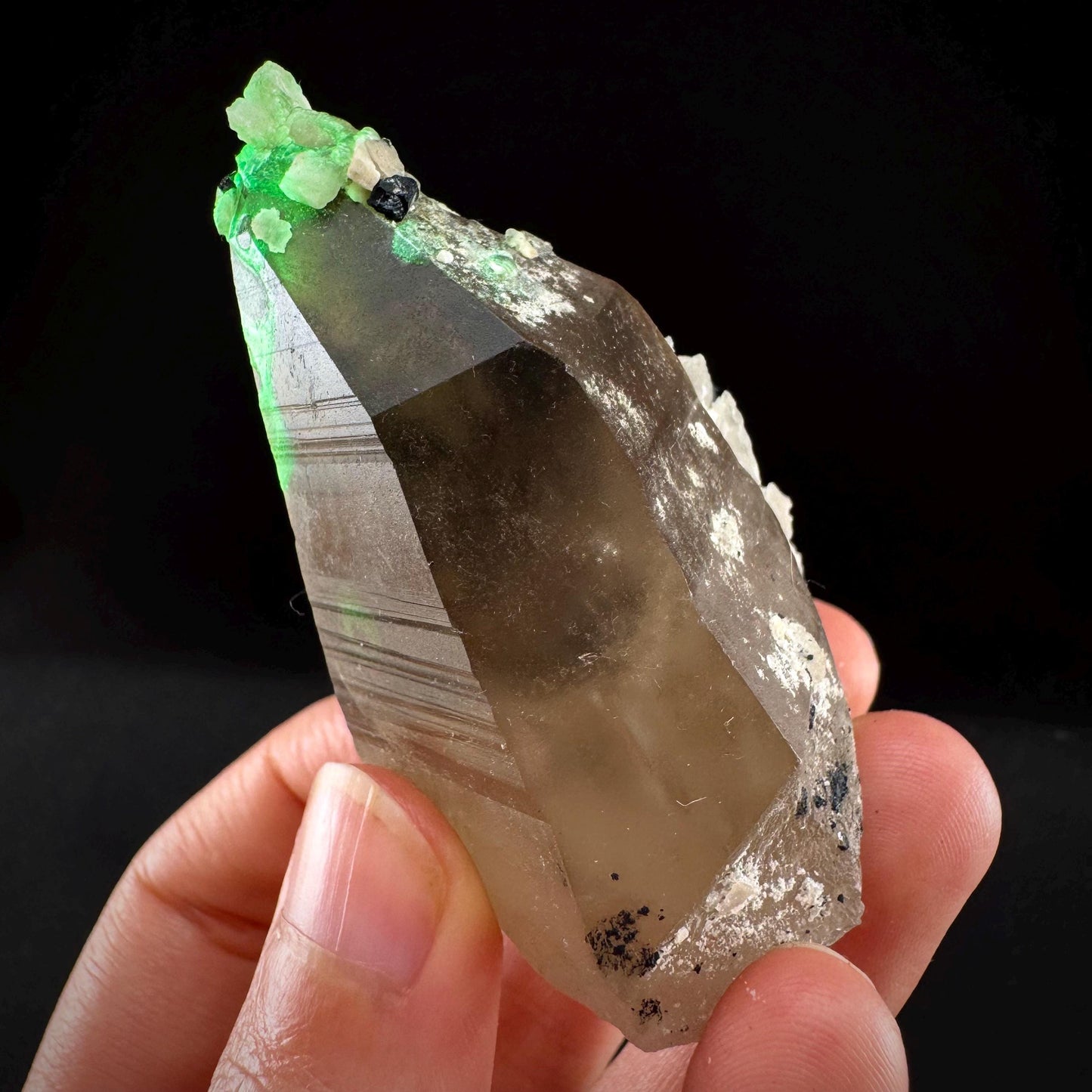 Hyalite Opal on Smoky Quartz (Namibia) | UV reactive Hyalite Opal on smoky quartz crystal, Tessin Habit