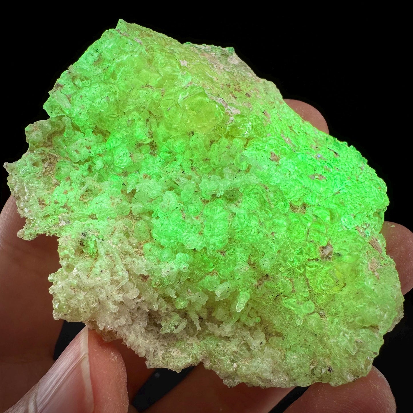 Hyalite Opal (Namibia) | UV reactive Hyalite Opal, daylight fluorescent, mineral specimen