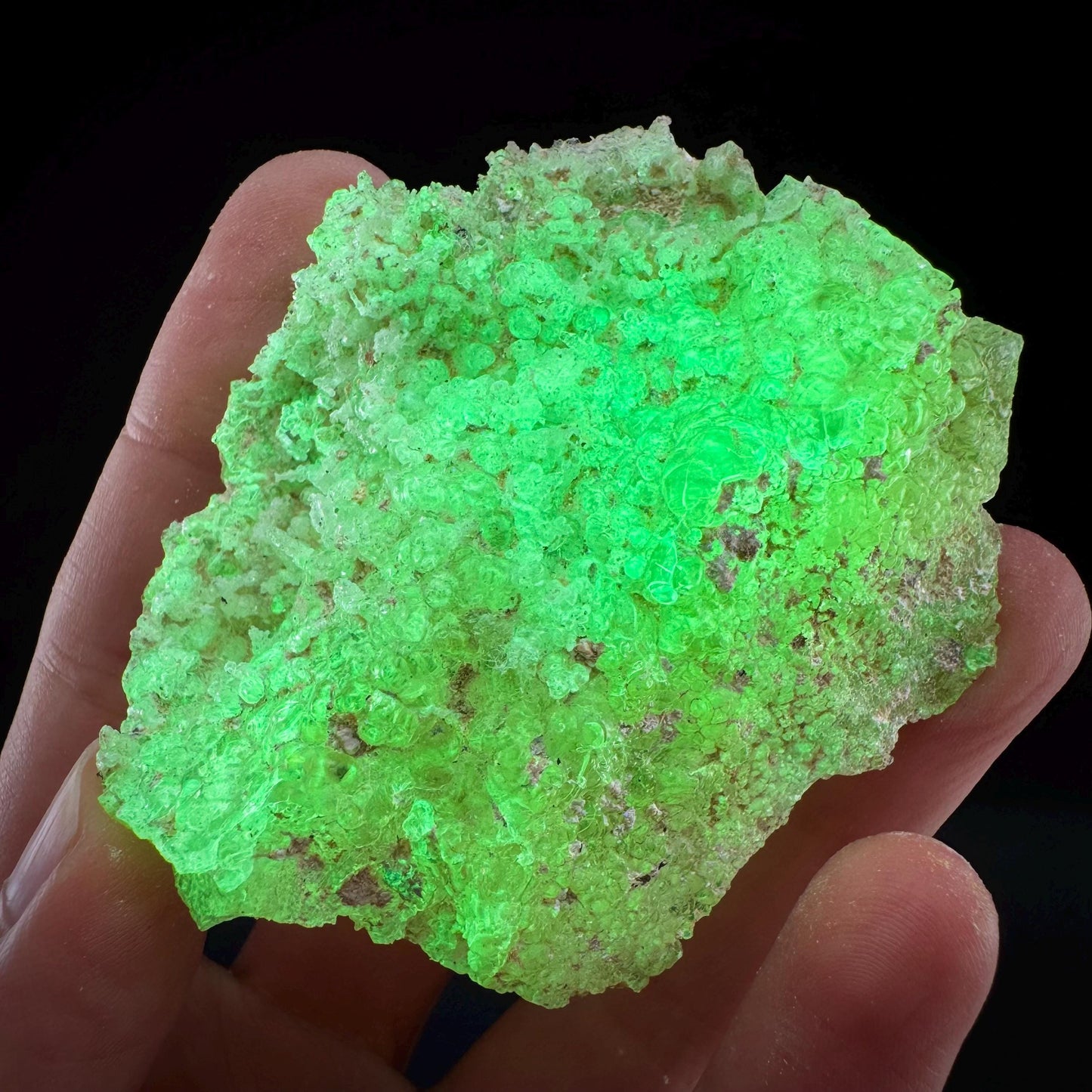 Hyalite Opal (Namibia) | UV reactive Hyalite Opal, daylight fluorescent, mineral specimen