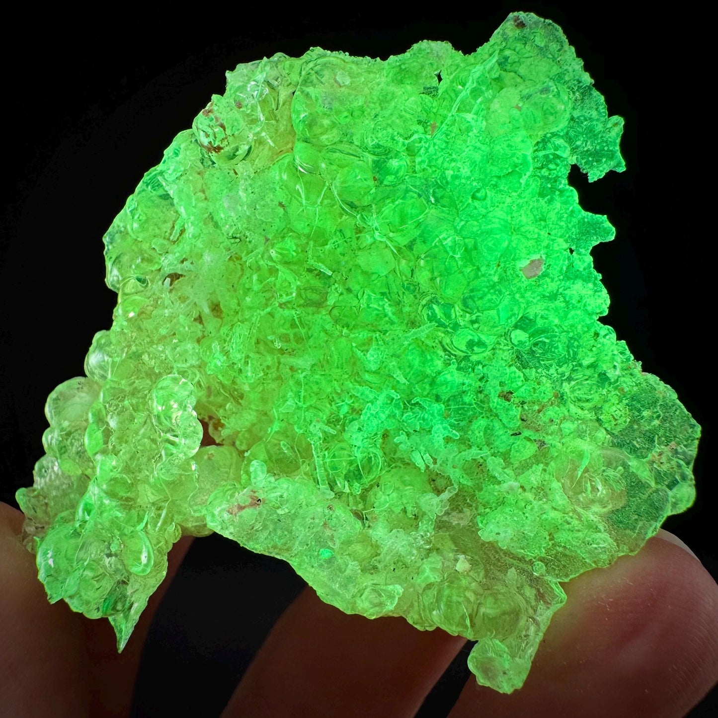 Hyalite Opal (Namibia) | UV reactive Hyalite Opal, daylight fluorescent, mineral specimen