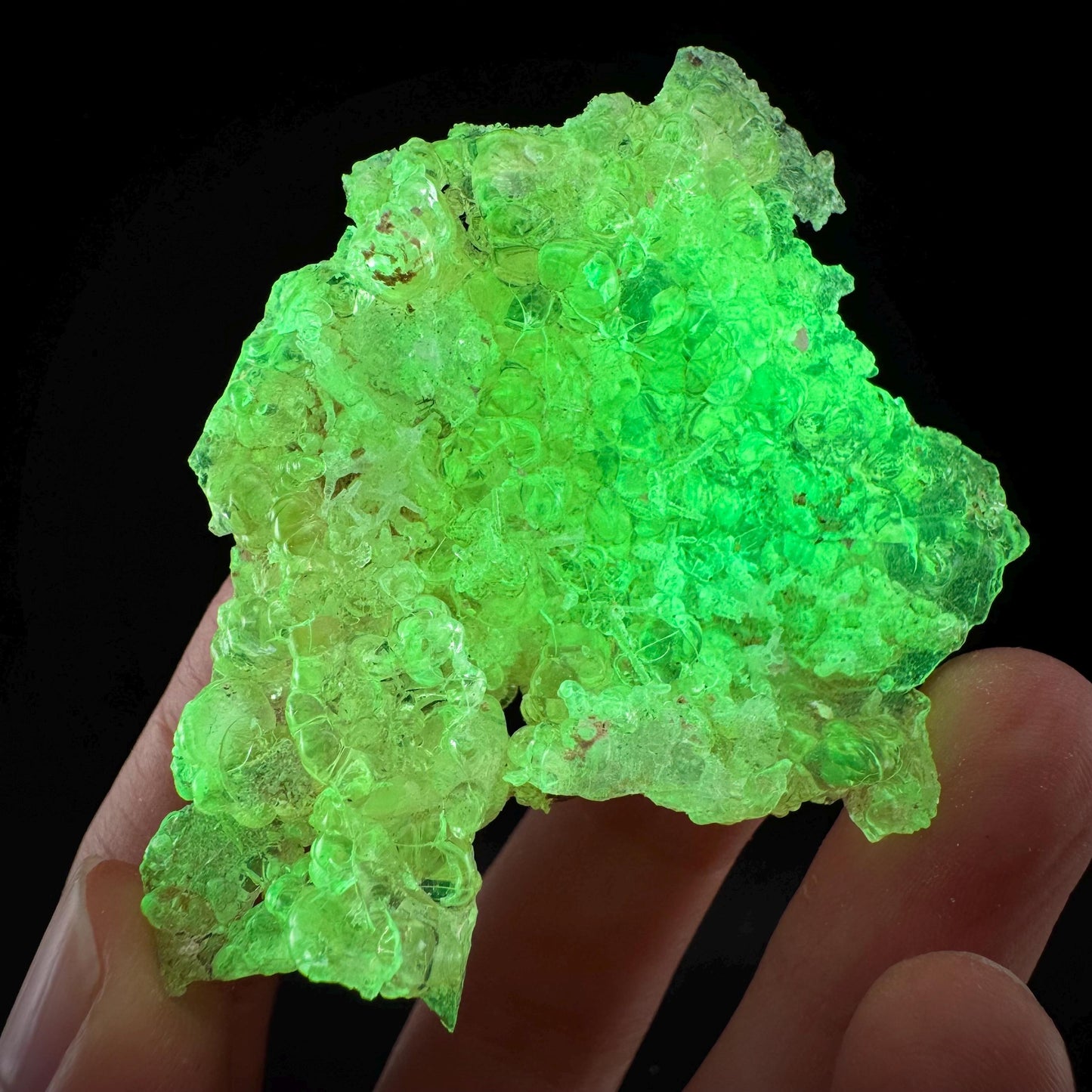 Hyalite Opal (Namibia) | UV reactive Hyalite Opal, daylight fluorescent, mineral specimen