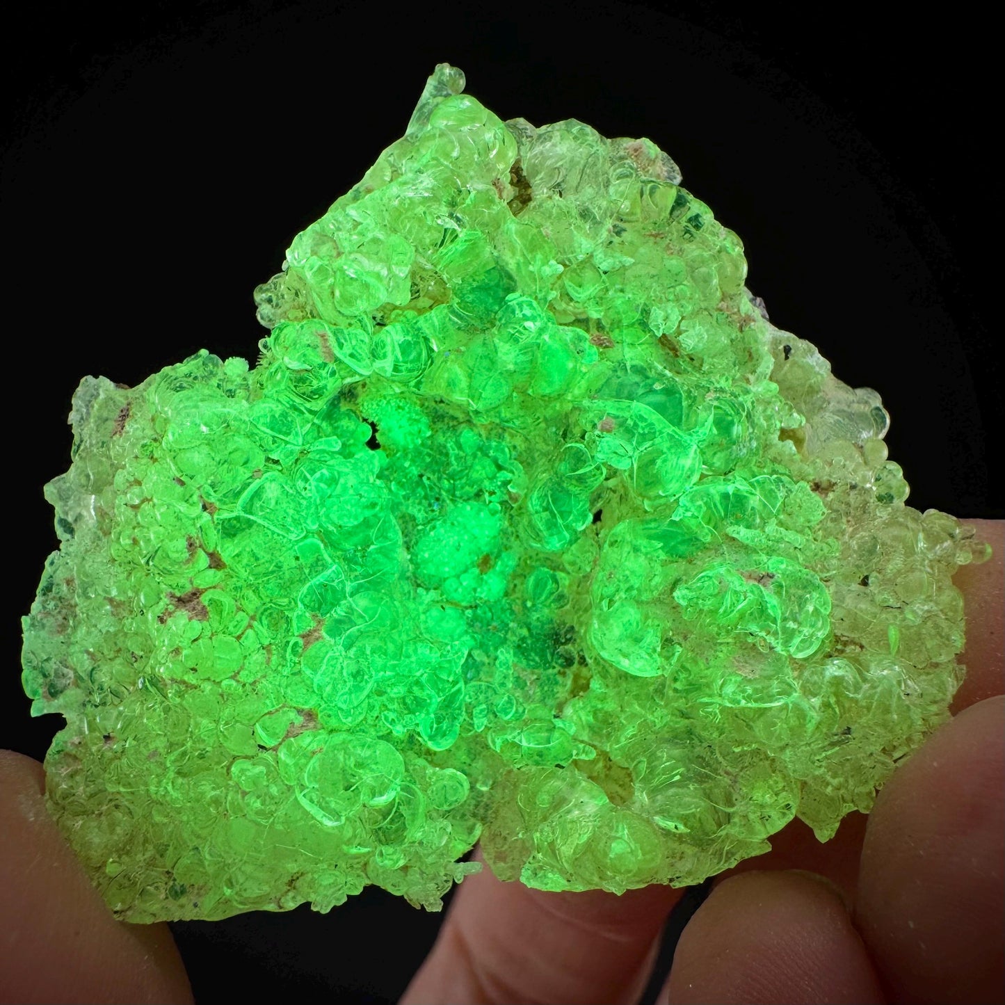Hyalite Opal (Namibia) | UV reactive Hyalite Opal, daylight fluorescent, mineral specimen