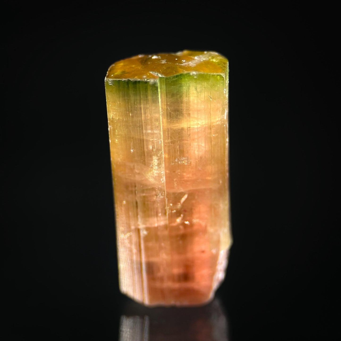 Elbaite Tourmaline (Afghanistan) | natural bi color tourmaline crystal