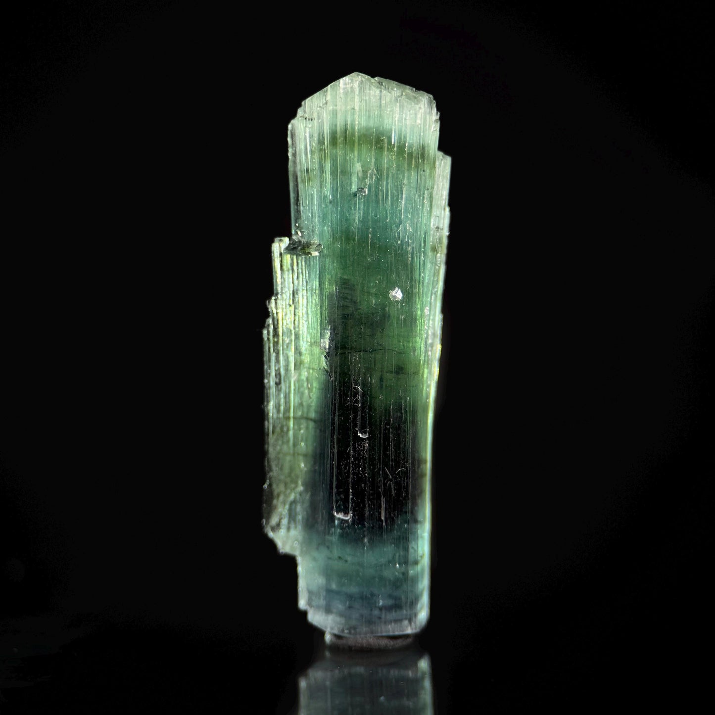 Tourmaline var. Indicolite (Pakistan) | blue and green tourmaline crystal, bi color tourmaline mineral specimen