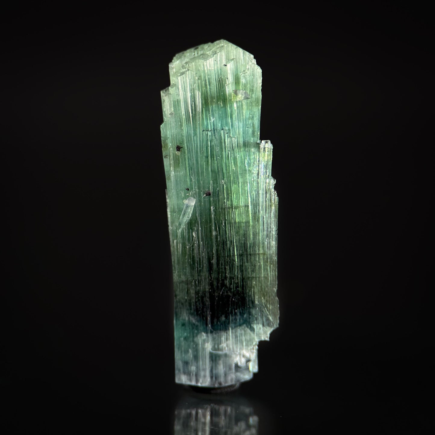 Tourmaline var. Indicolite (Pakistan) | blue and green tourmaline crystal, bi color tourmaline mineral specimen