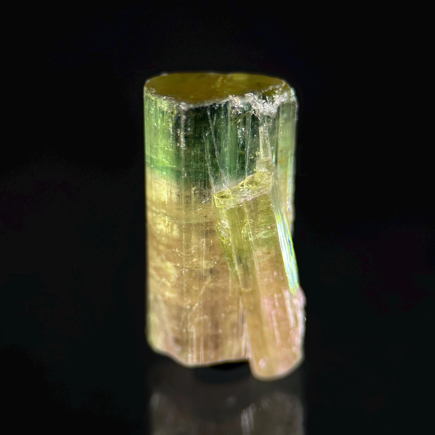 Elbaite Tourmaline (Afghanistan) | natural bi color tourmaline crystal