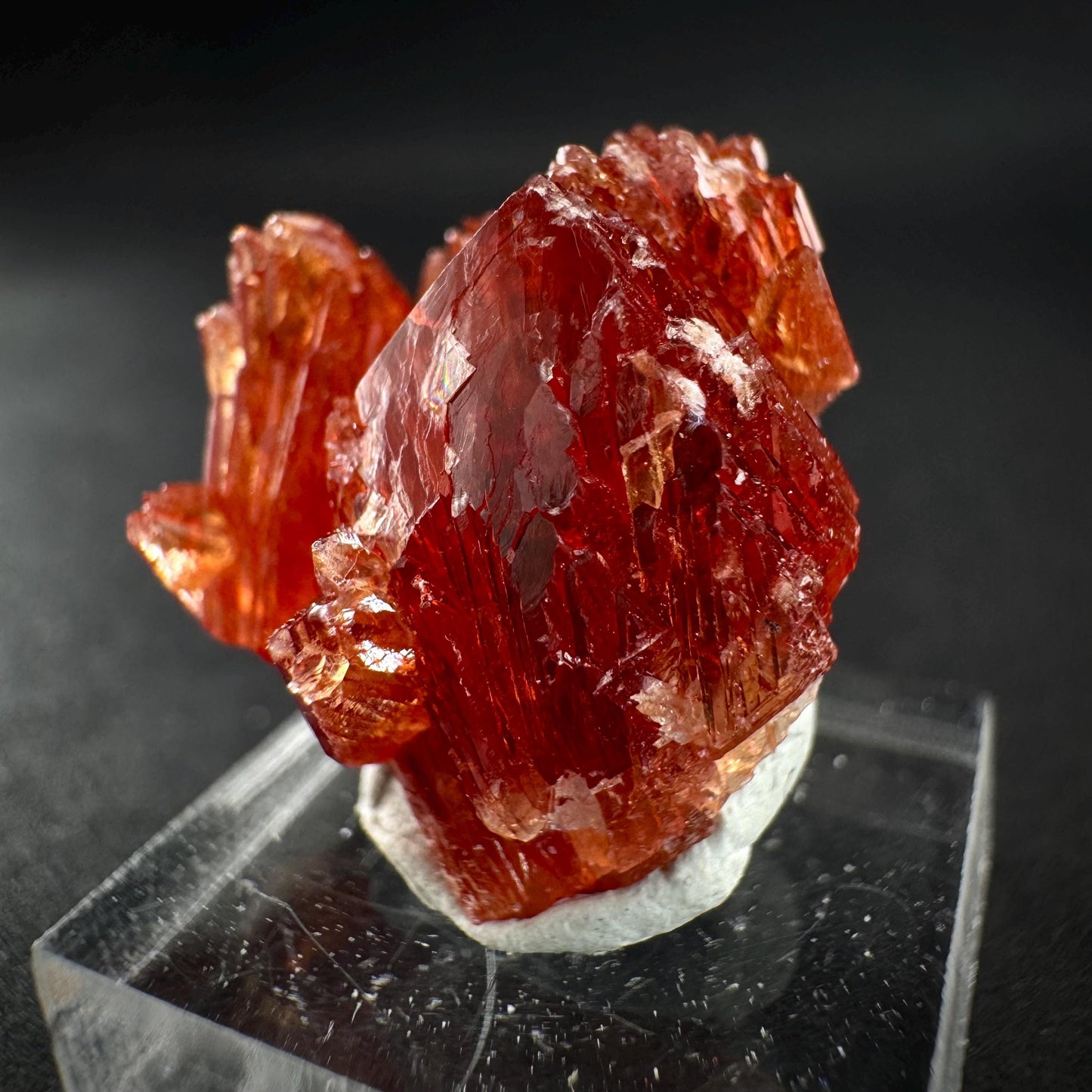 Rhodochrosite (South Africa) | natural rhodochrosite crystal, rare, mineral specimen