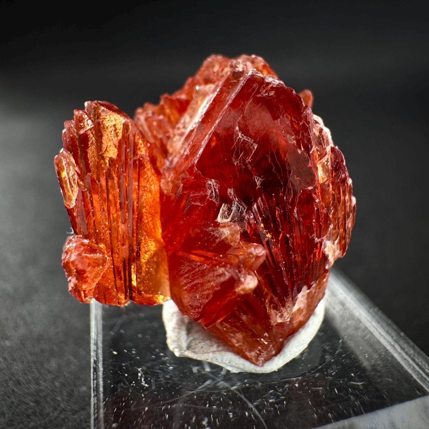 Rhodochrosite (South Africa) | natural rhodochrosite crystal, rare, mineral specimen