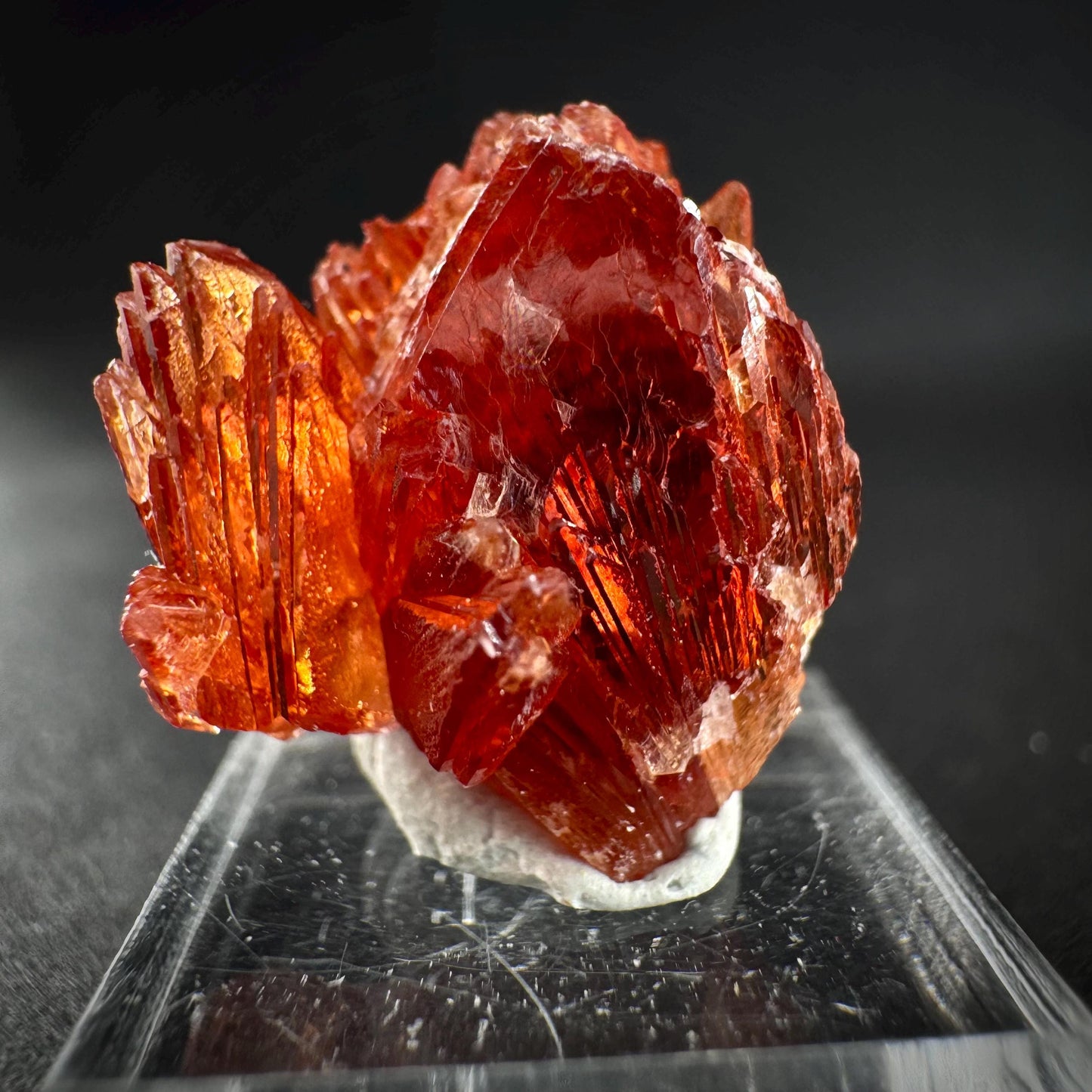 Rhodochrosite (South Africa) | natural rhodochrosite crystal, rare, mineral specimen
