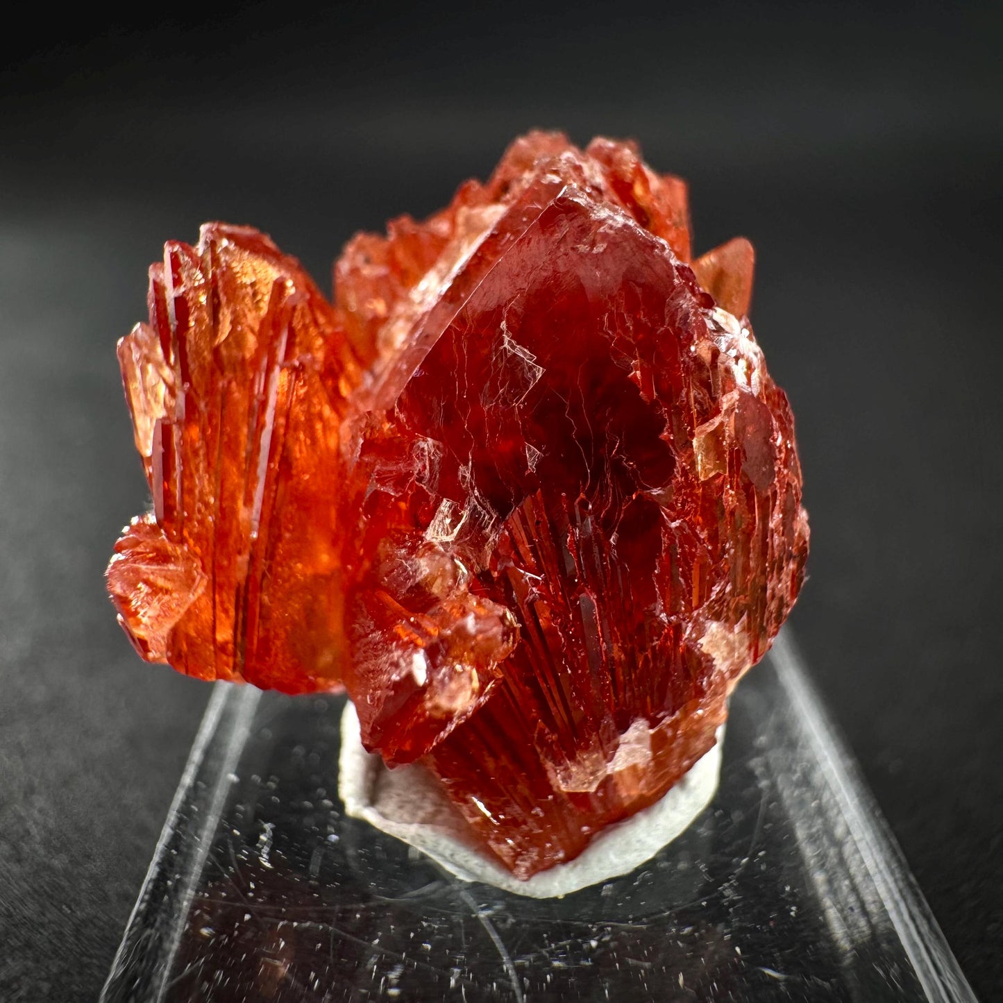 Rhodochrosite (South Africa) | natural rhodochrosite crystal, rare, mineral specimen