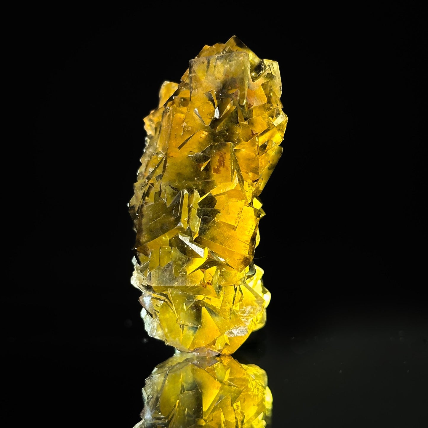 Okorusu Fluorite (Namibia) | “Honey Pocket” fluorite cluster, yellow fluorite crystal, mineral specimen