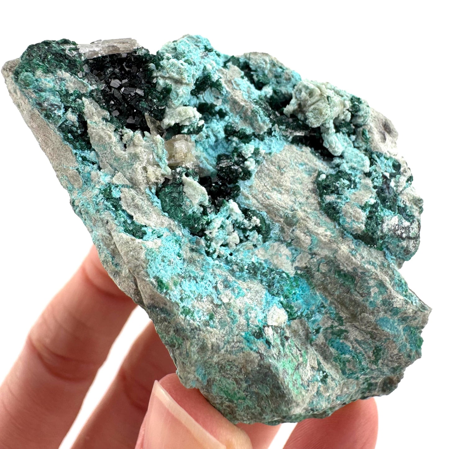 Chrysocolla w/ Malachite (DR Congo) | blue chrysocolla crystal, mineral specimen