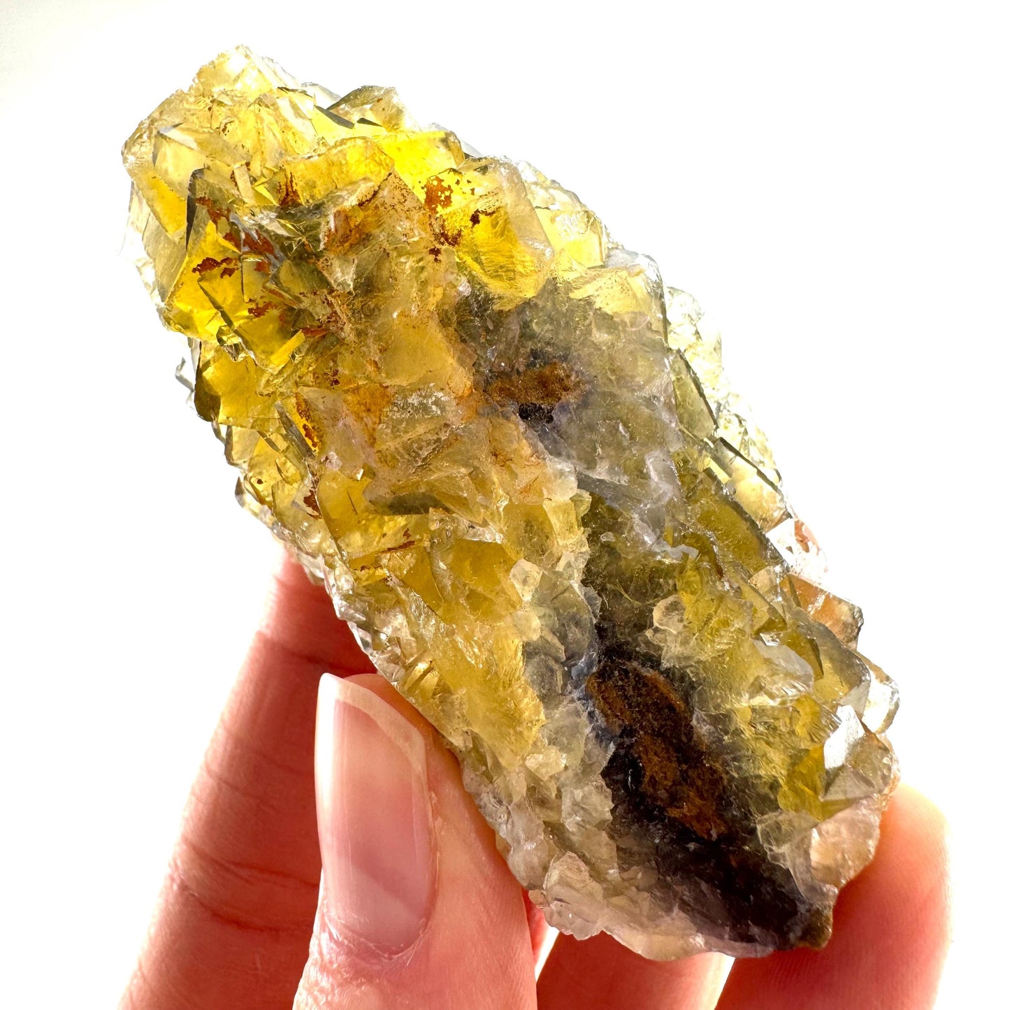 Okorusu Fluorite (Namibia) | “Honey Pocket” fluorite cluster, yellow fluorite crystal, mineral specimen
