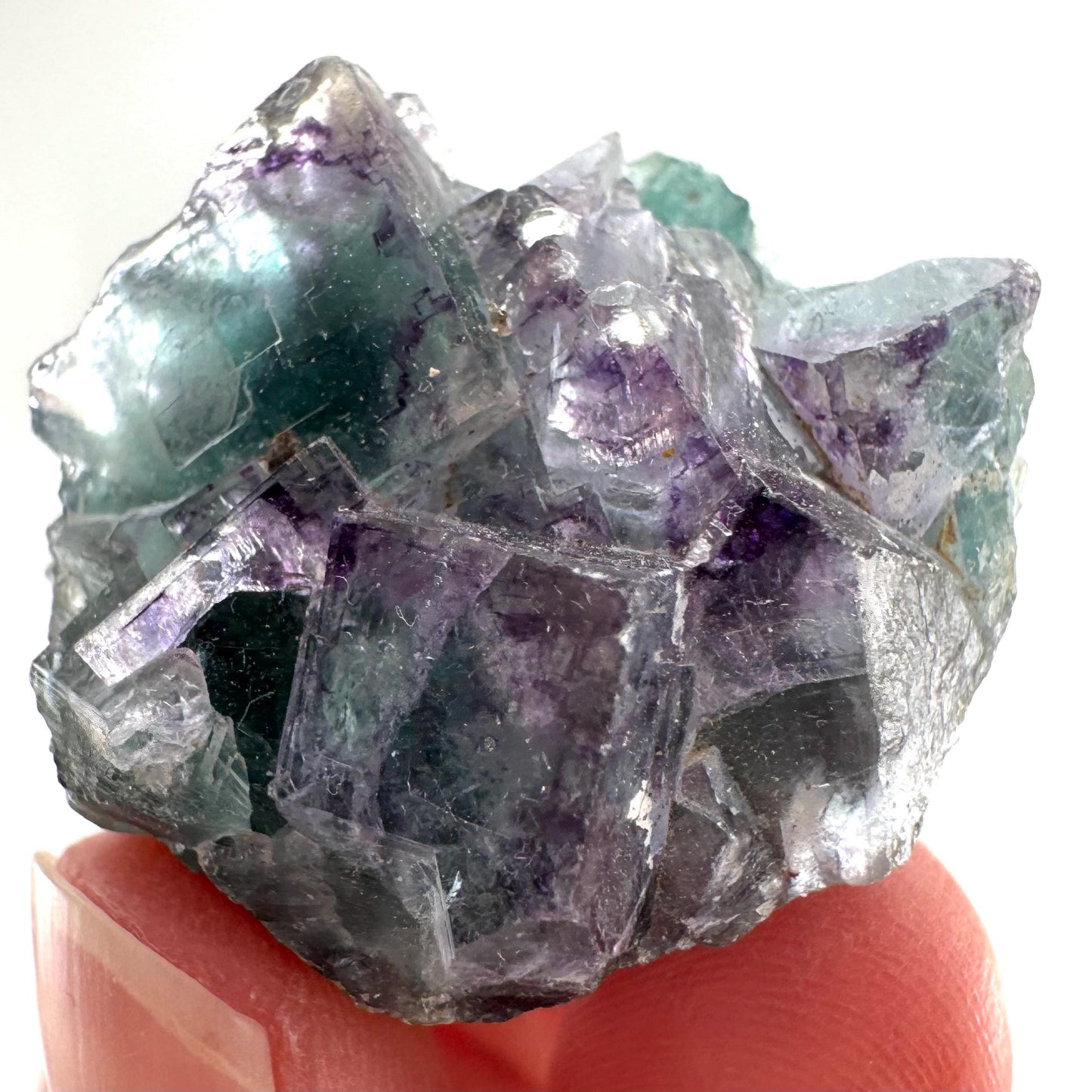 Okorusu Fluorite (Namibia) | green fluorite cluster, purple fluorite, crystals, mineral specimen