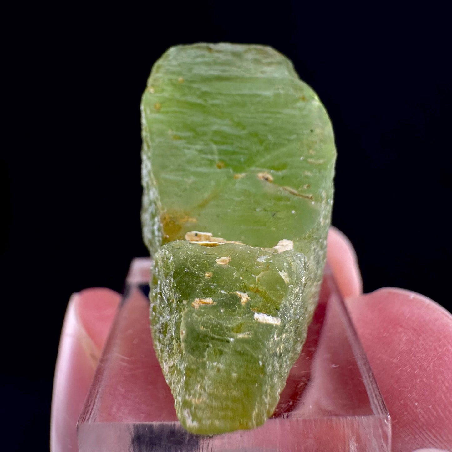 Peridot (Pakistan) | naturally terminated peridot crystal, mineral specimen