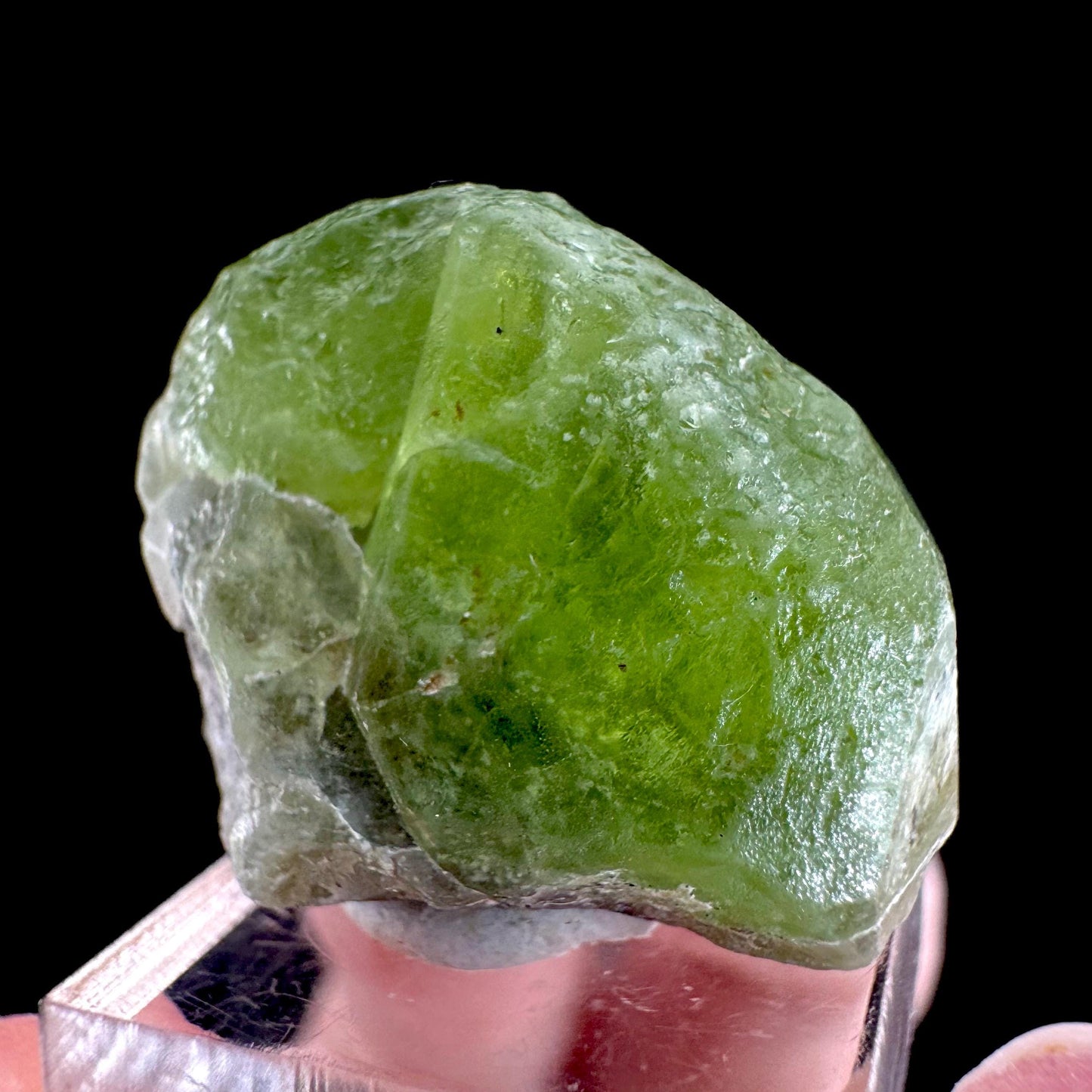 Peridot (Pakistan) | naturally terminated peridot crystal, mineral specimen