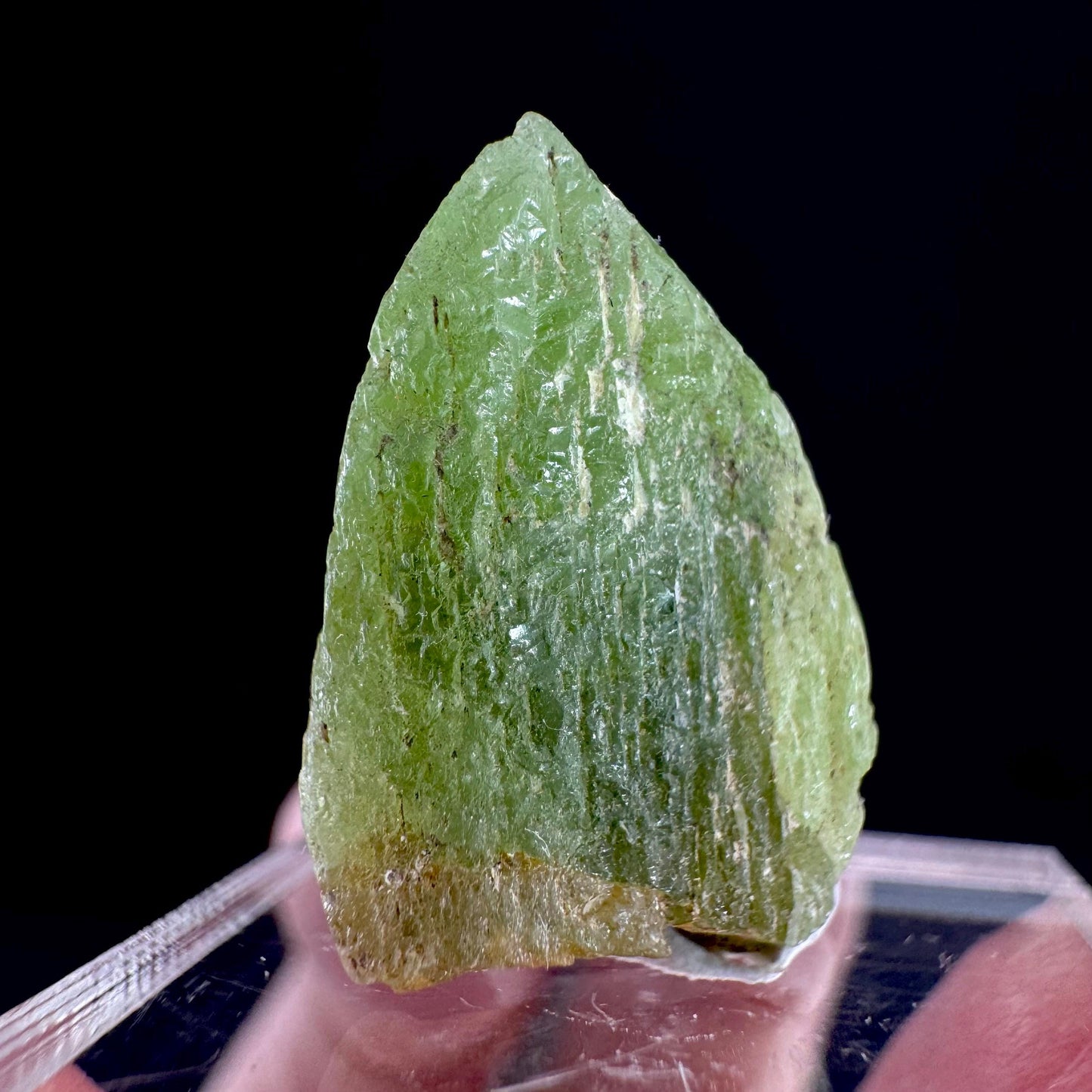 Peridot (Pakistan) | naturally terminated peridot crystal, mineral specimen