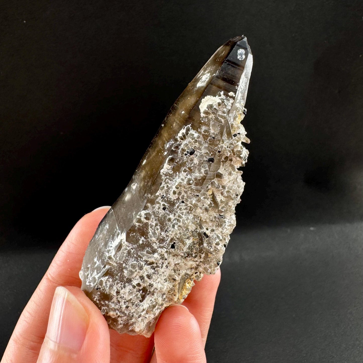Tessin Habit Smoky Quartz (Namibia) | Natural smoky quartz crystal, mineral specimen