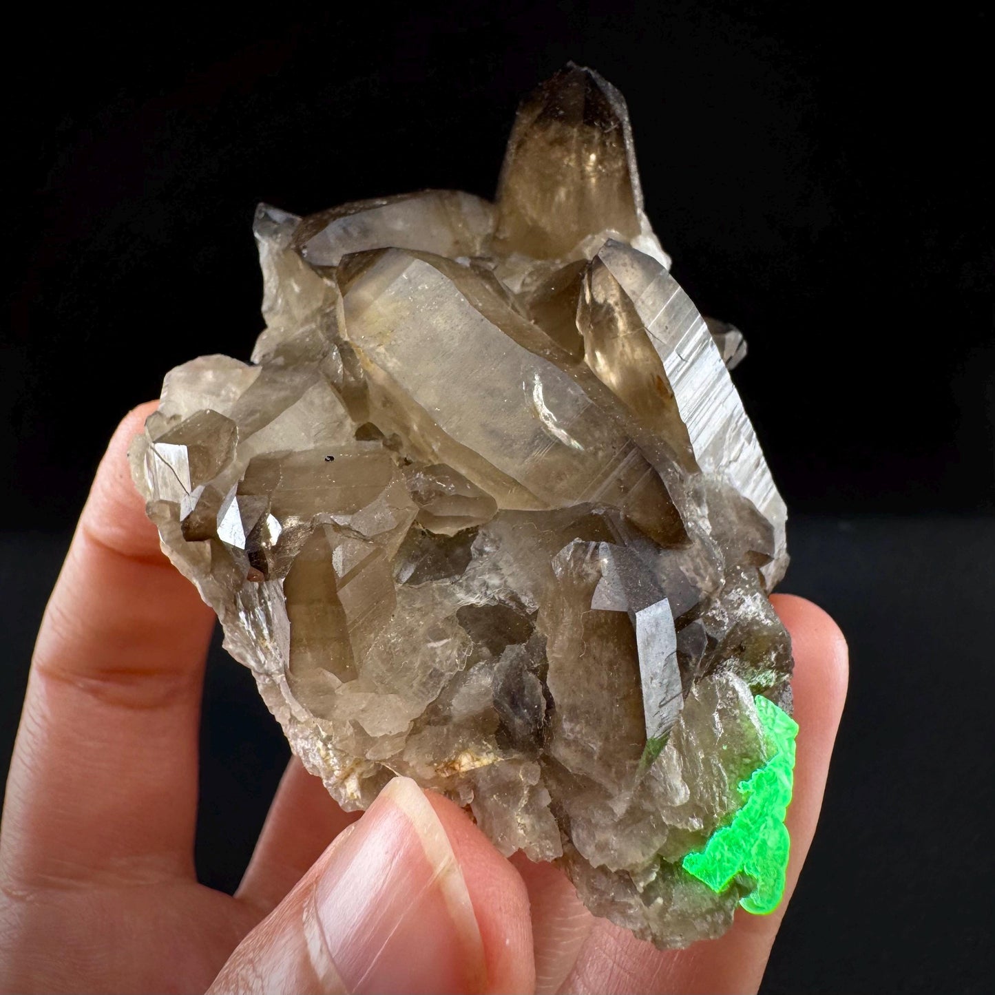 Hyalite Opal on Smoky Quartz (Namibia) | UV reactive Hyalite Opal on smoky quartz crystal