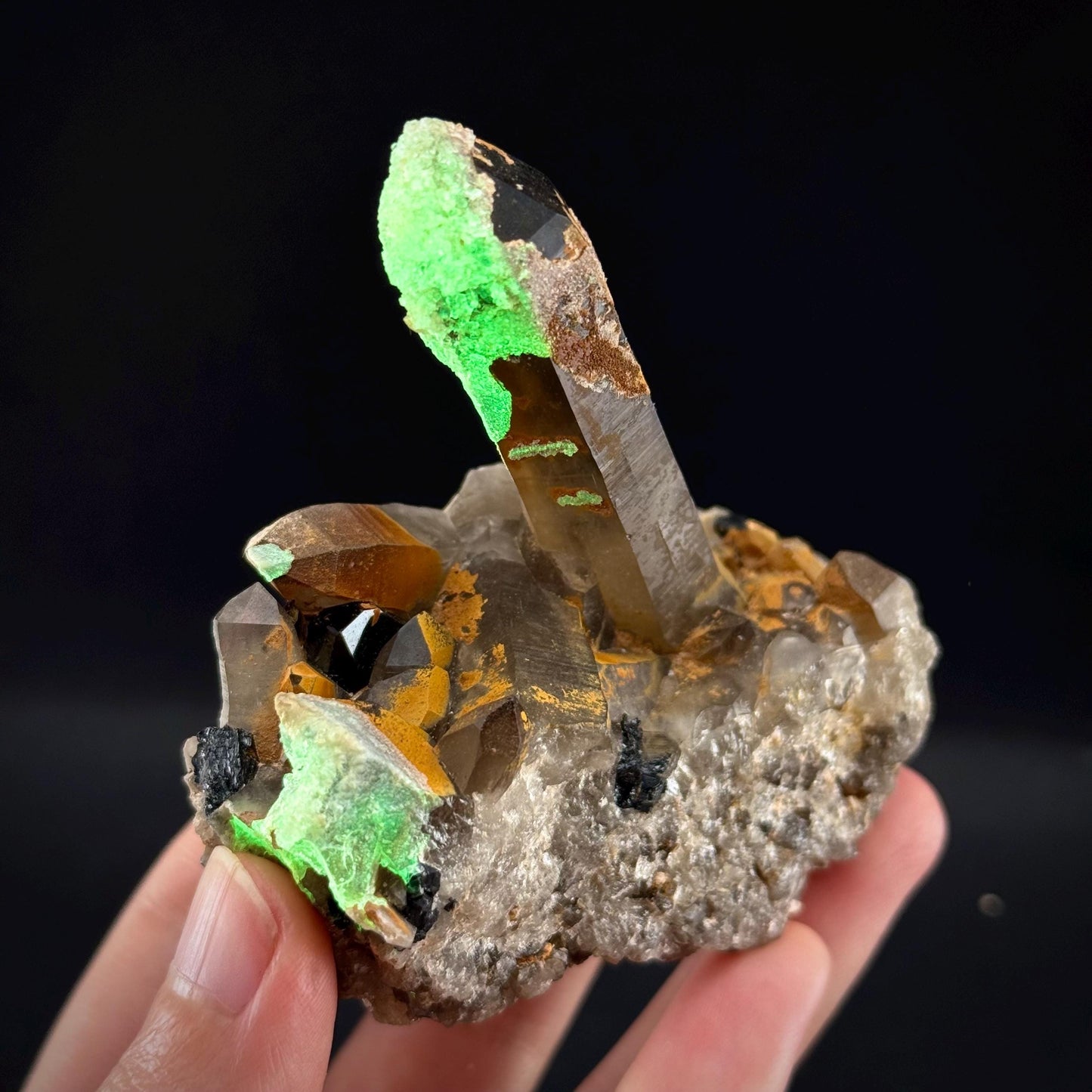 Hyalite Opal on Smoky Quartz (Namibia) | UV reactive Hyalite Opal on smoky quartz crystal