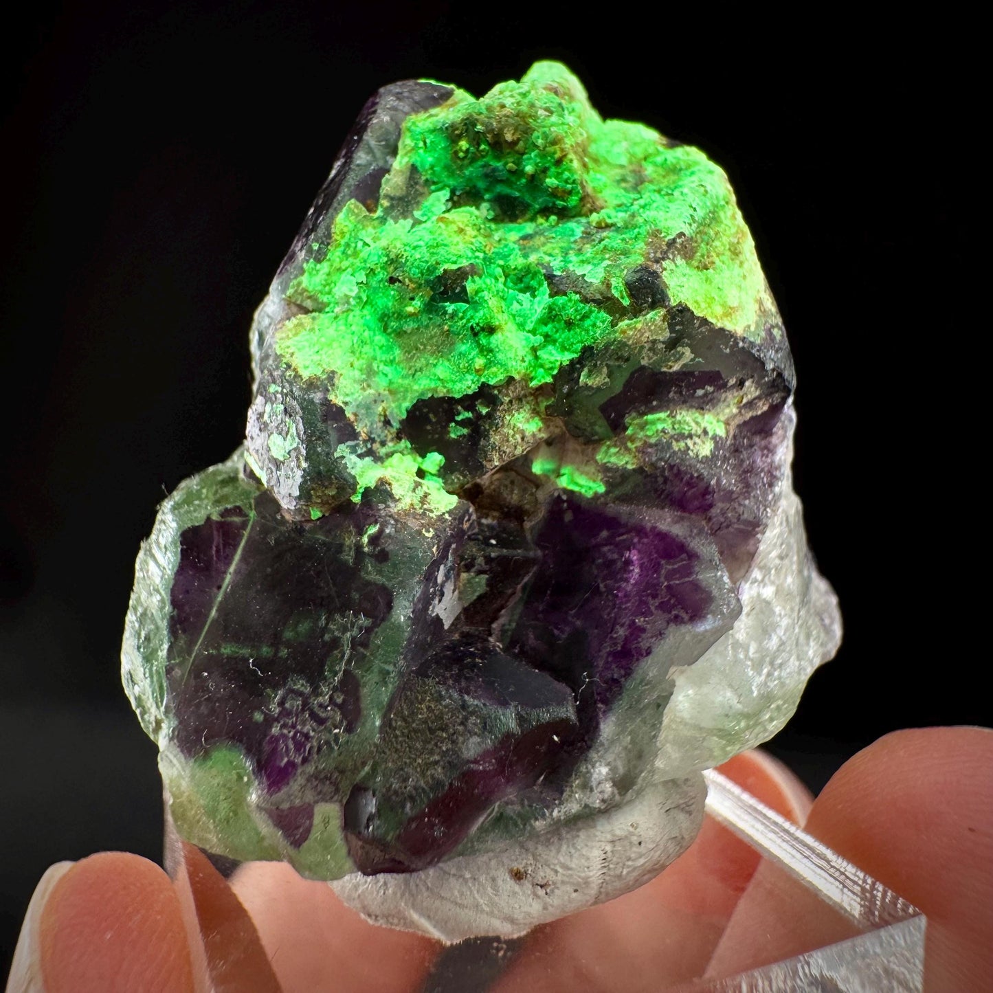 Fluorite w/ Hyalite Opal (Namibia) | UV reactive Hyalite Opal on fluorite crystal, mineral specimen
