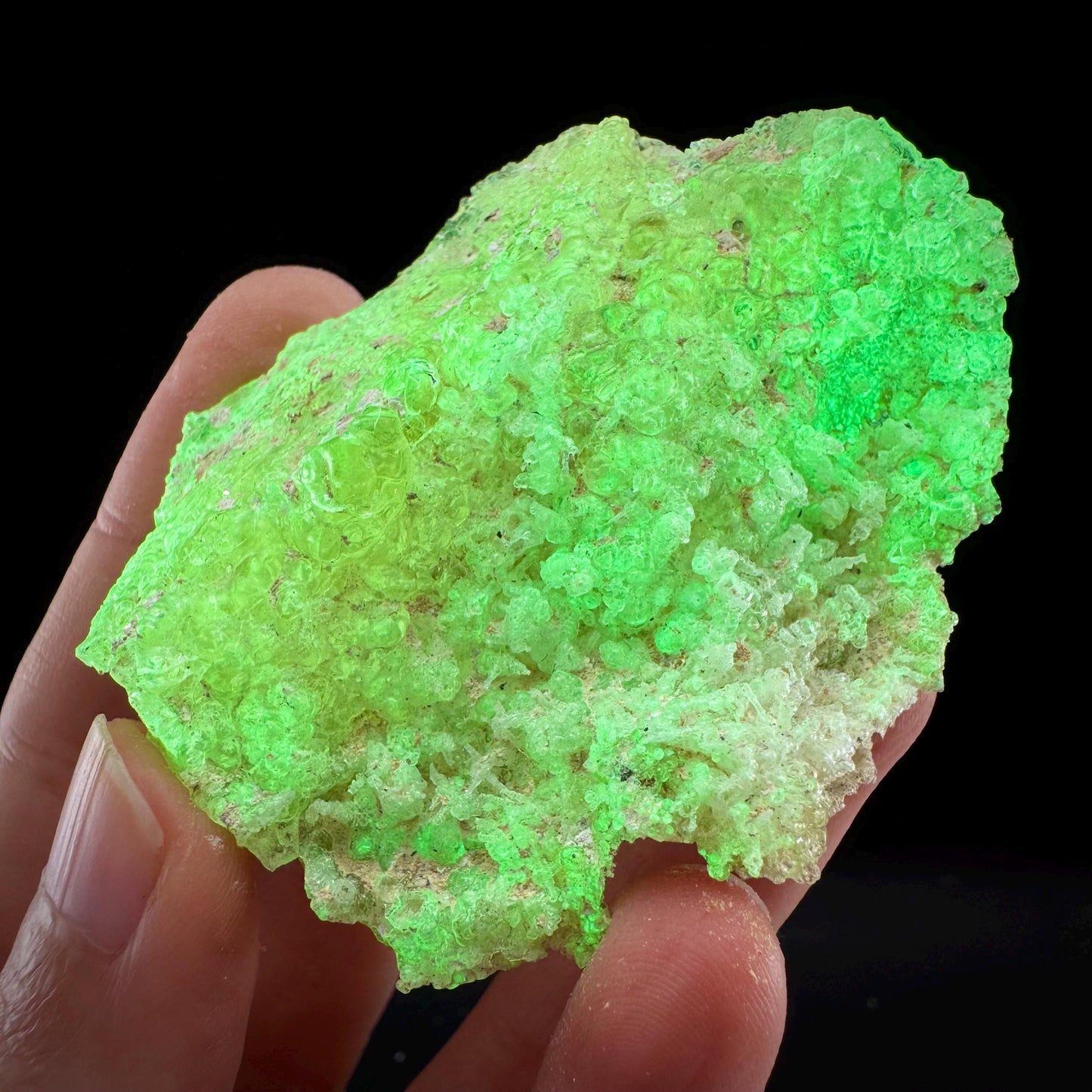 Hyalite Opal (Namibia) | UV reactive Hyalite Opal, daylight fluorescent, mineral specimen