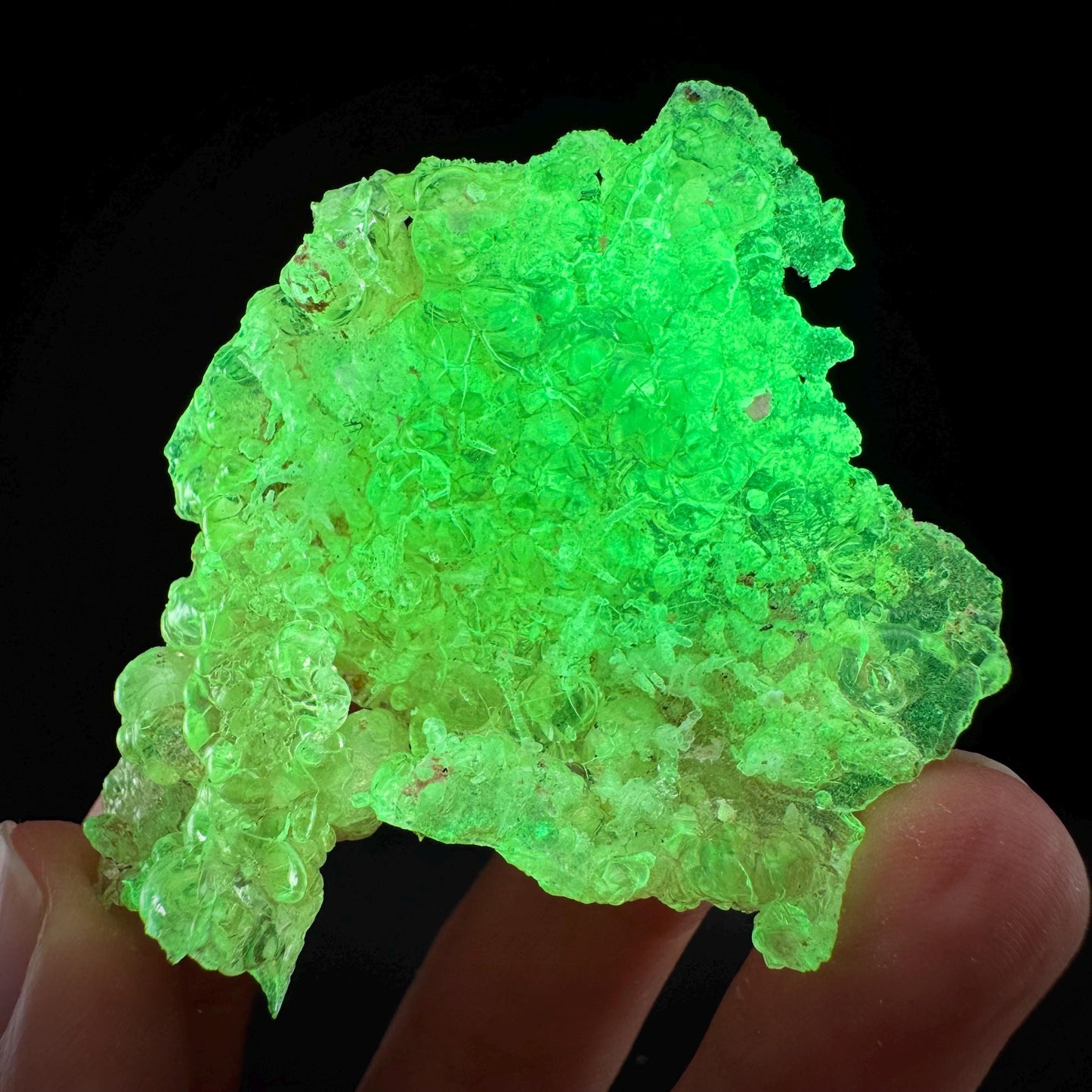 Hyalite Opal (Namibia) | UV reactive Hyalite Opal, daylight fluorescent, mineral specimen