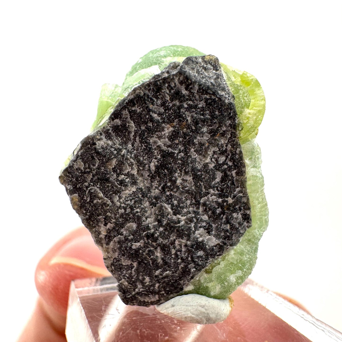 Wavellite (Arkansas, USA) | Wavellite crystal, mineral specimen