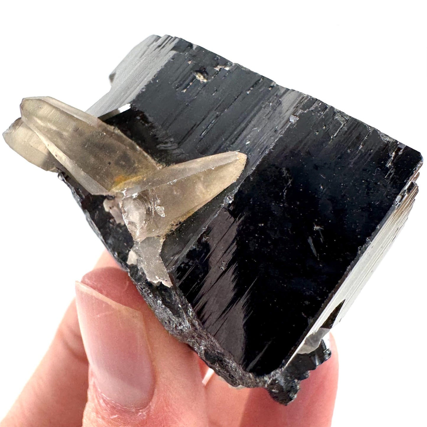 Black Tourmaline w/ Smoky Quartz (Namibia) | high quality black tourmaline crystal, black schorl, mineral specimen