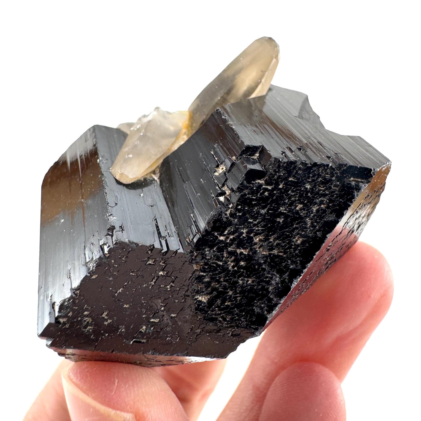 Black Tourmaline w/ Smoky Quartz (Namibia) | high quality black tourmaline crystal, black schorl, mineral specimen