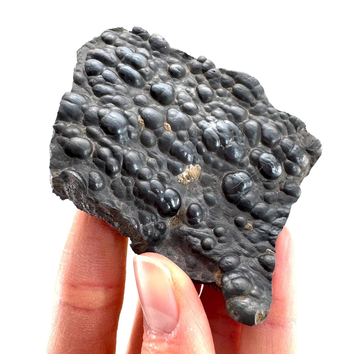 Botryoidal Hematite (Morocco) | black hematite crystal, mineral specimen