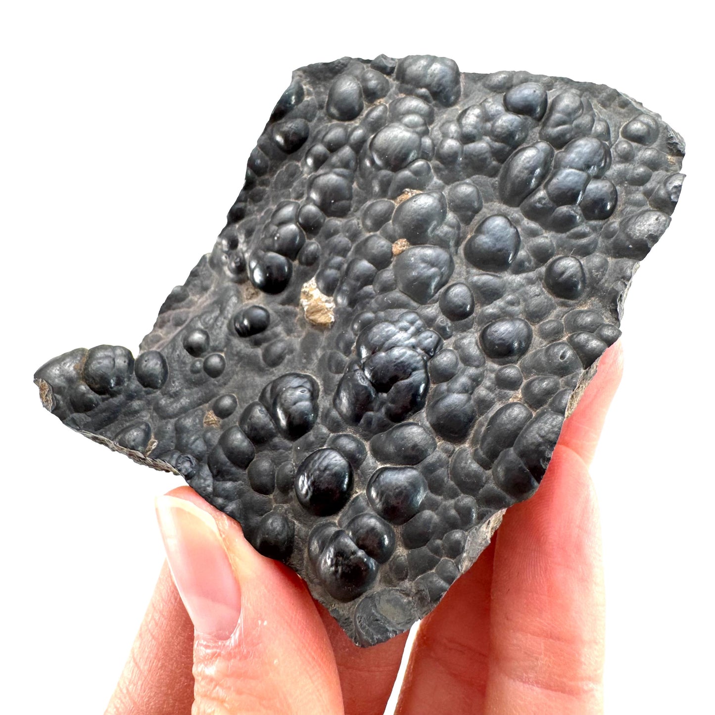 Botryoidal Hematite (Morocco) | black hematite crystal, mineral specimen
