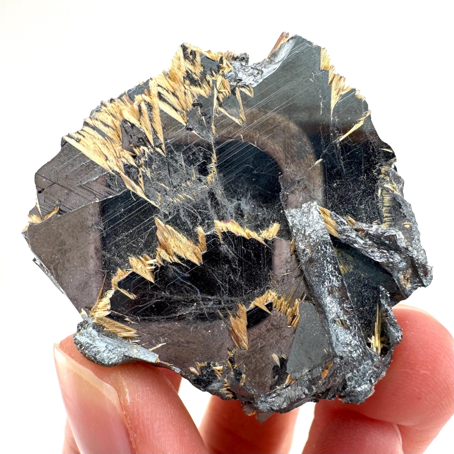 Rutile on Hematite (Brazil) | golden rutile on hematite crystal, rare mineral specimen