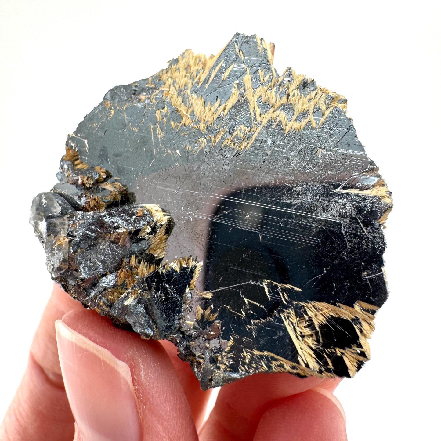 Rutile on Hematite (Brazil) | golden rutile on hematite crystal, rare mineral specimen