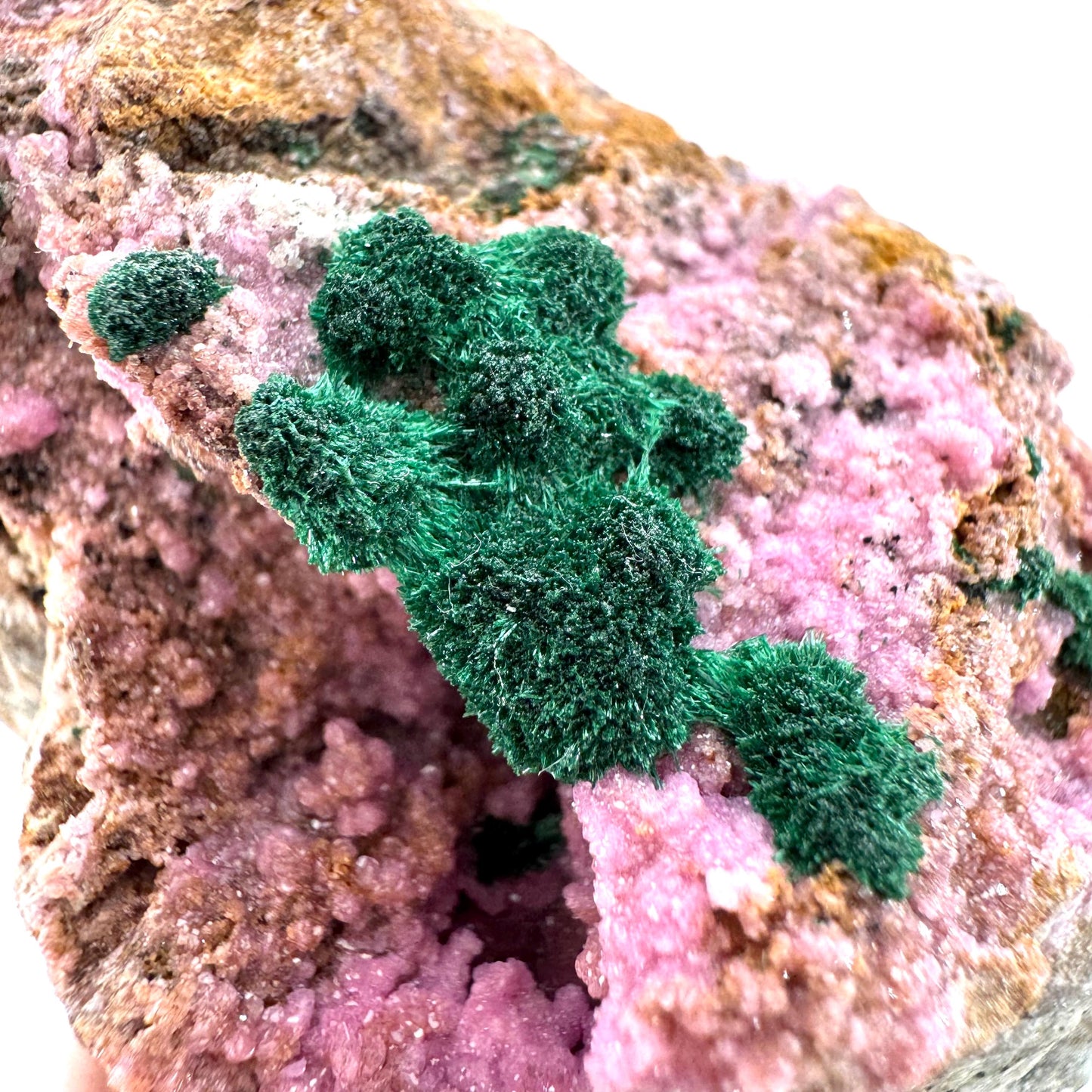 Cobaltoan Calcite w/ Fibrous Malachite (DR Congo) | cobalto calcite crystal, mineral specimen
