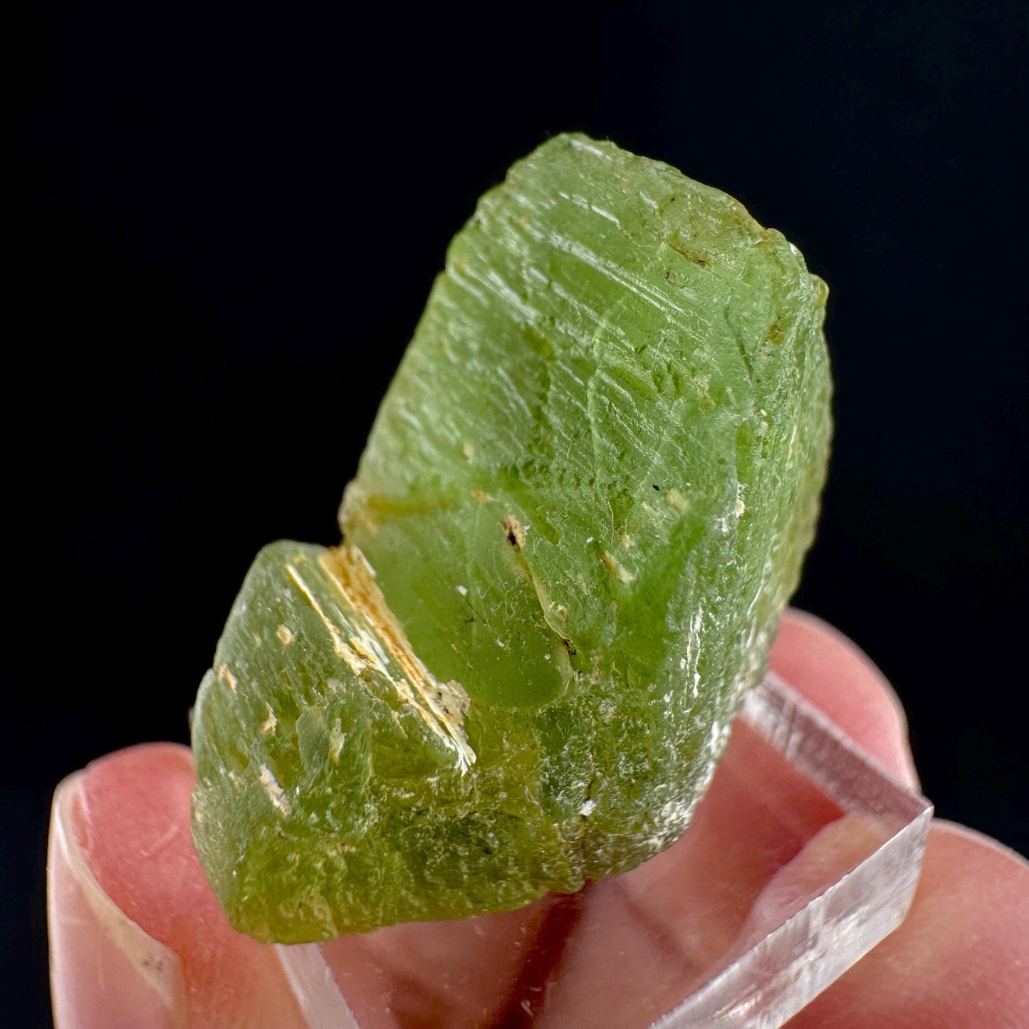Peridot (Pakistan) | naturally terminated peridot crystal, mineral specimen