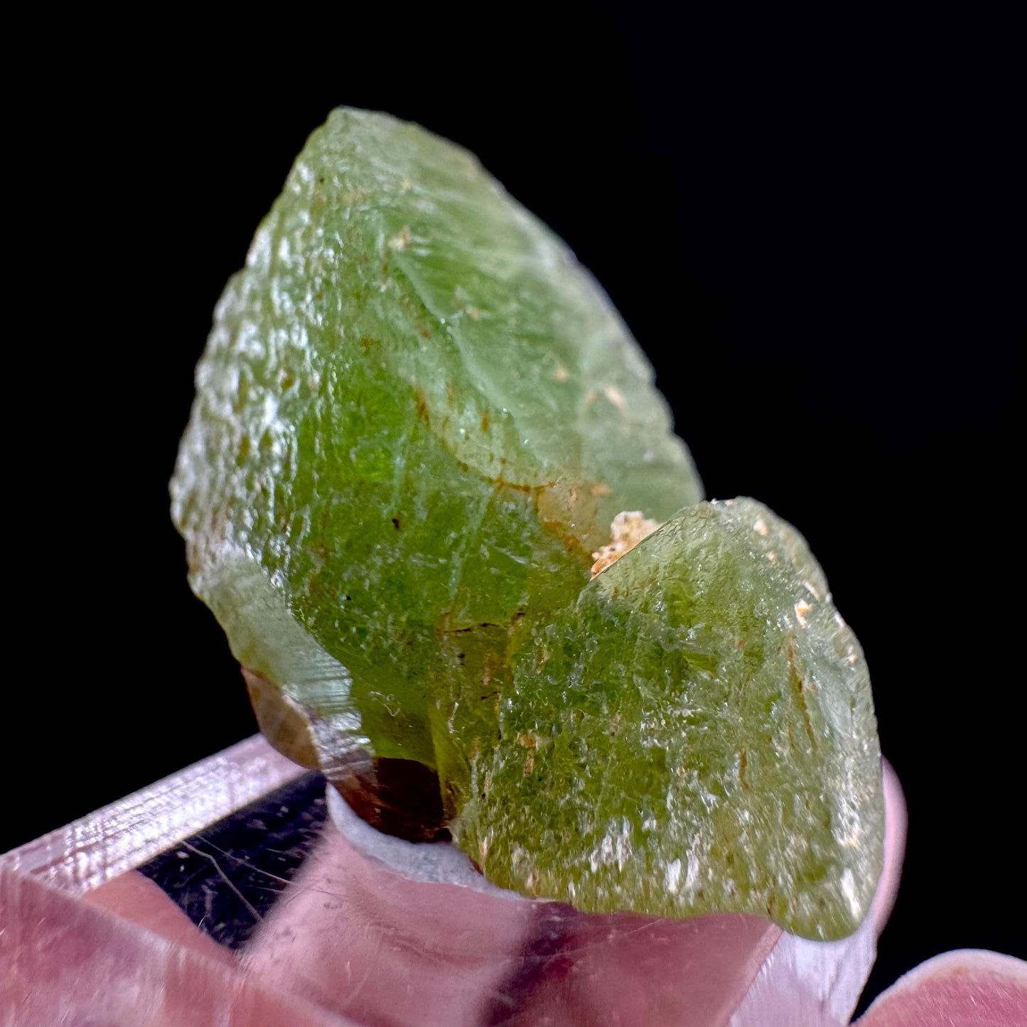 Peridot (Pakistan) | naturally terminated peridot crystal, mineral specimen