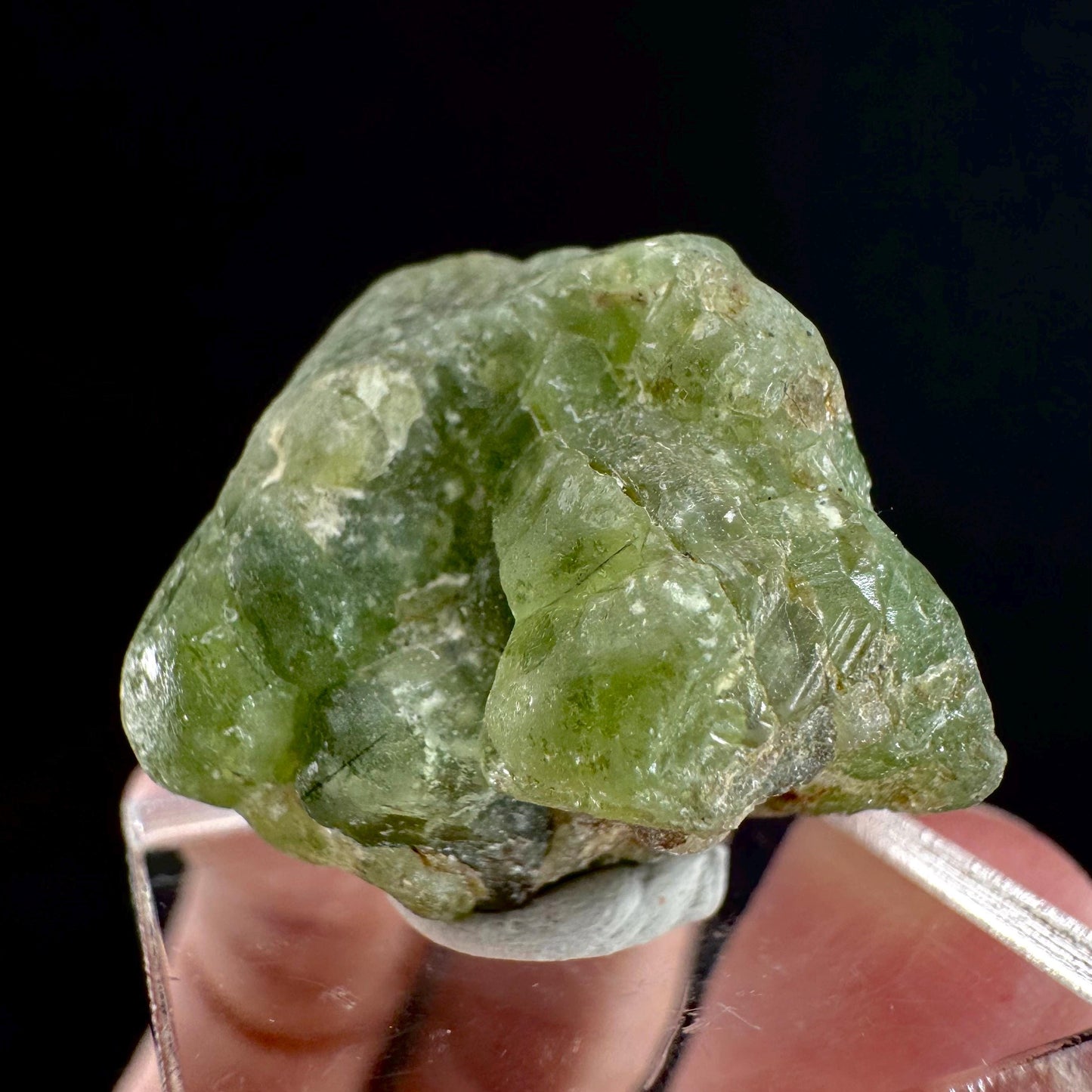 Peridot (Pakistan) | naturally terminated peridot crystal, mineral specimen
