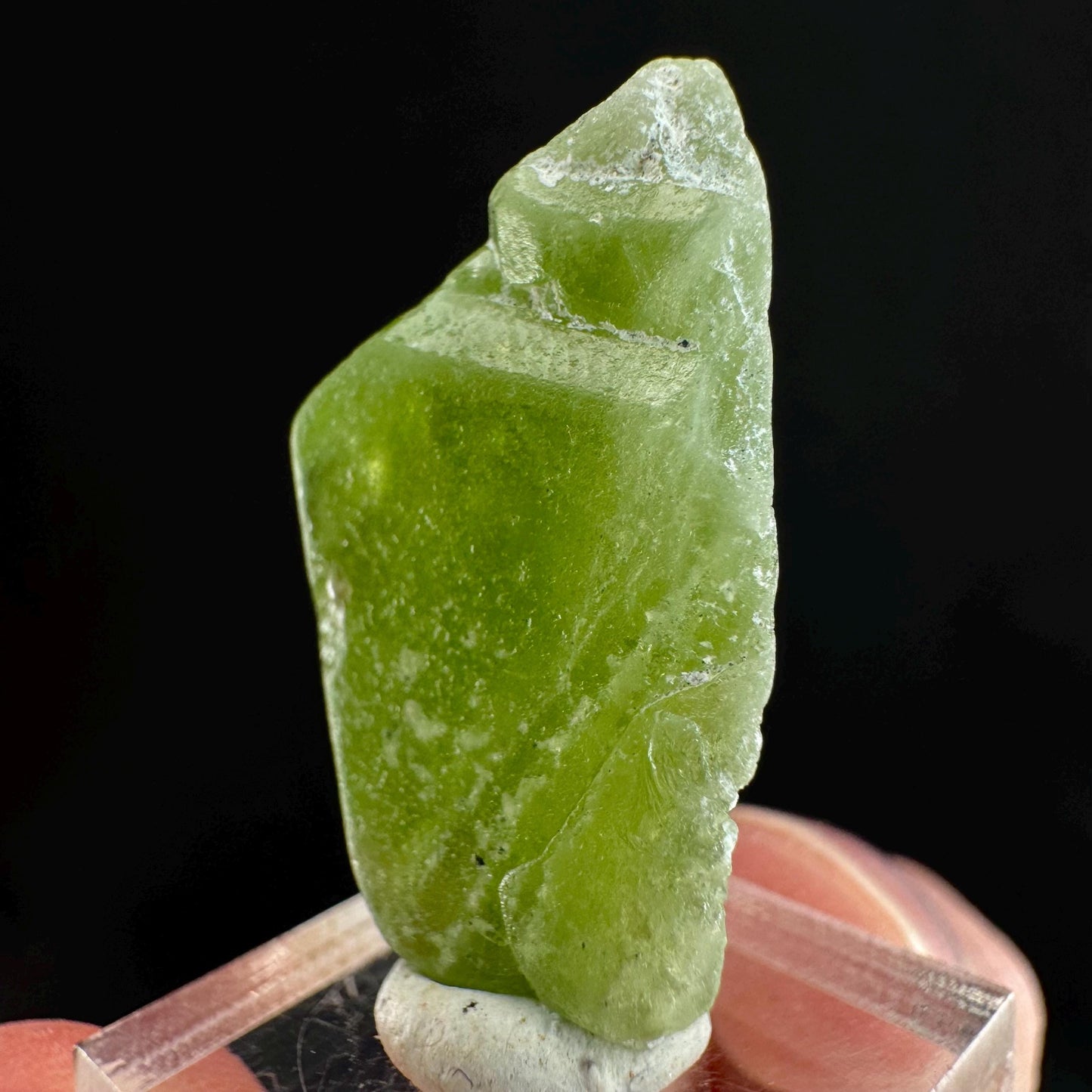 Peridot (Pakistan) | naturally terminated peridot crystal, mineral specimen