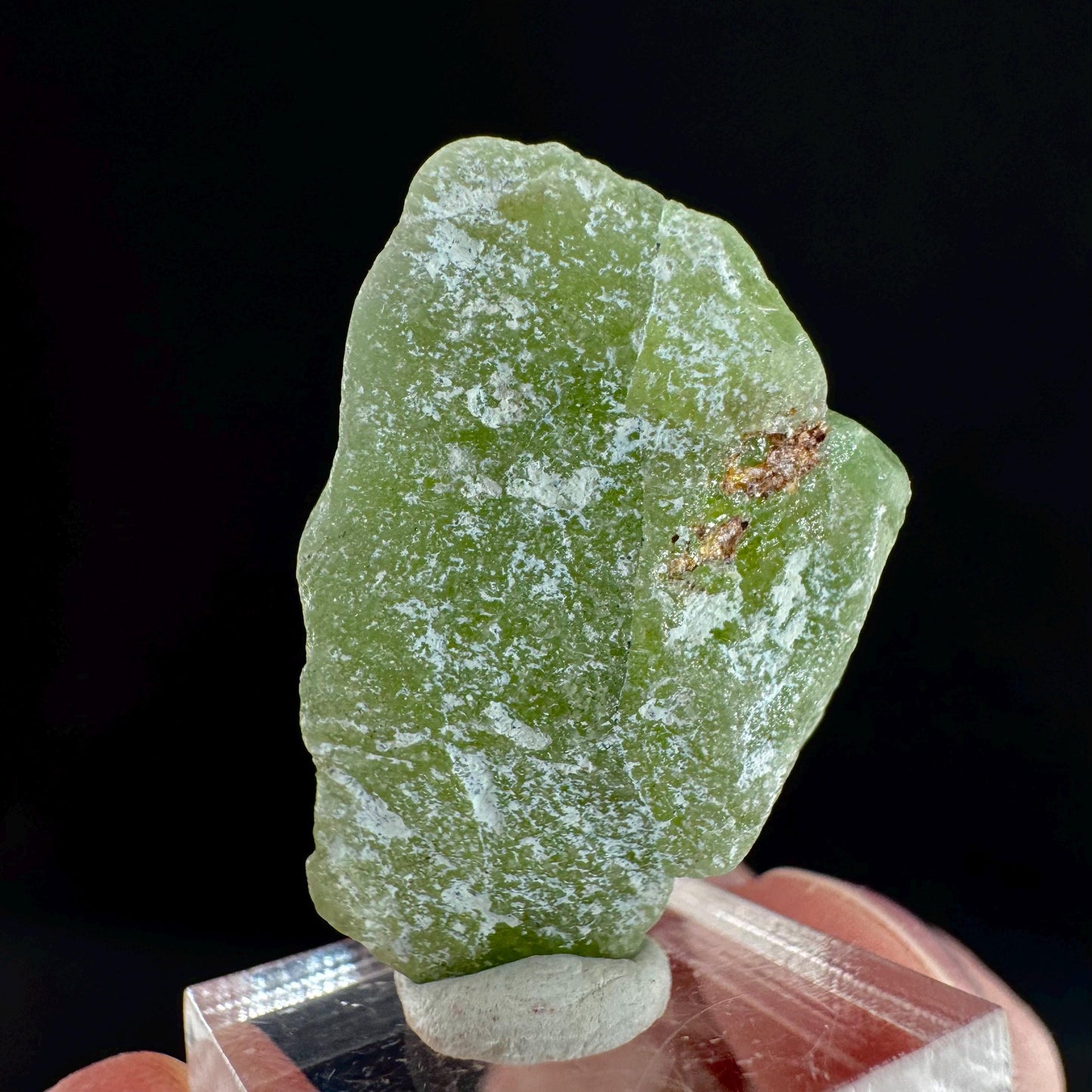 Peridot (Pakistan) | naturally terminated peridot crystal, mineral specimen