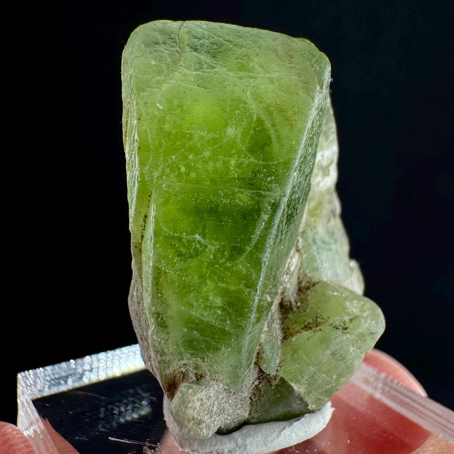 Peridot (Pakistan) | naturally terminated peridot crystal, mineral specimen