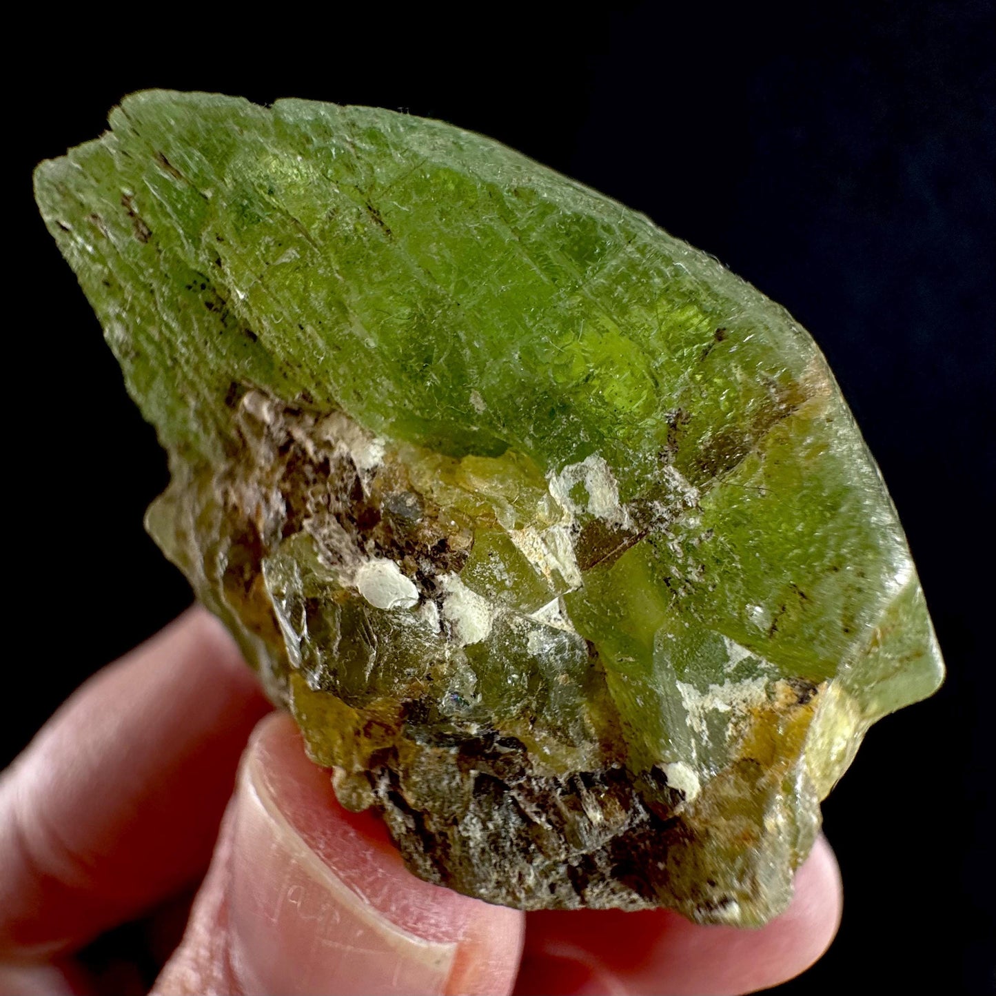 Peridot (Pakistan) | naturally terminated peridot crystal, mineral specimen