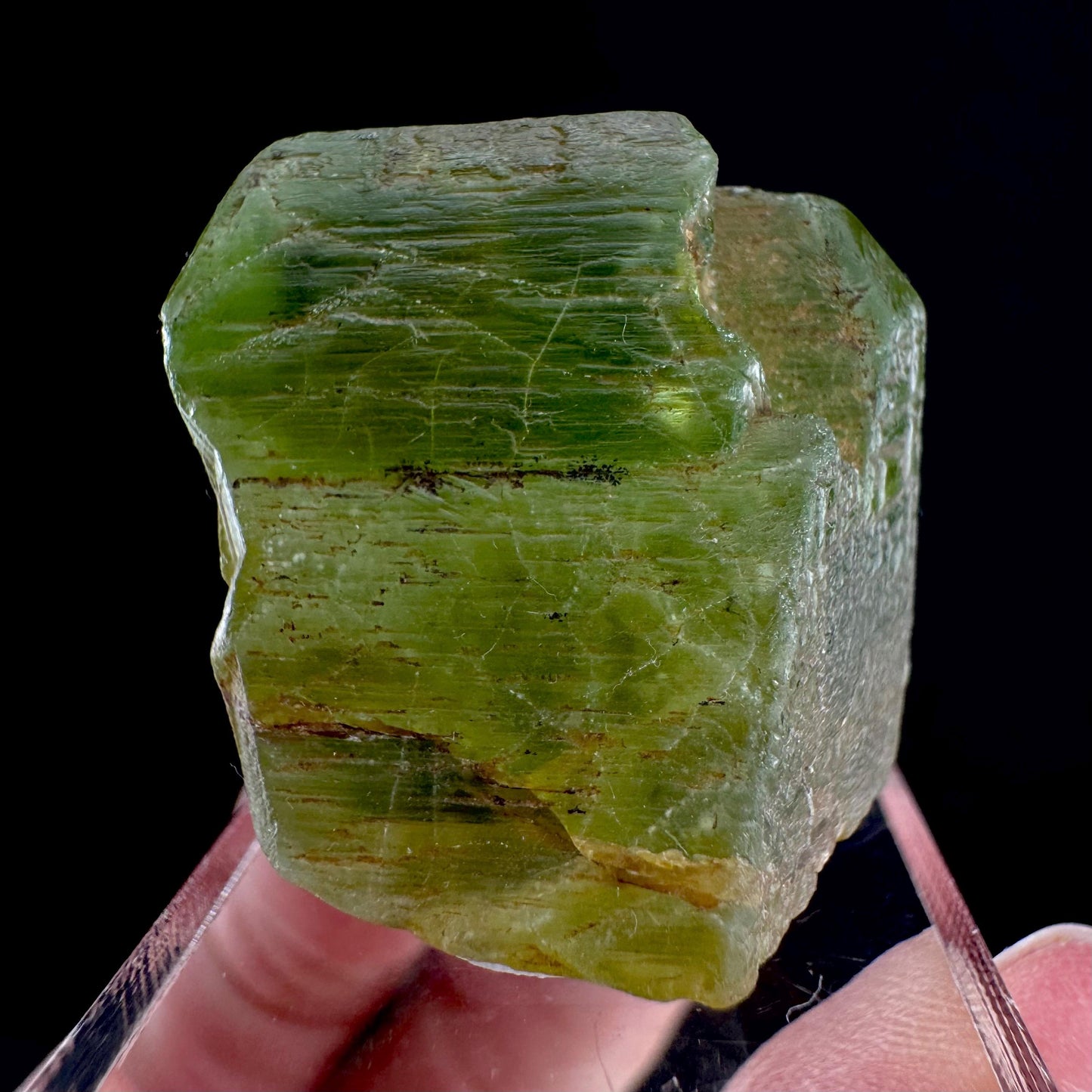 Peridot (Pakistan) | naturally terminated peridot crystal, mineral specimen