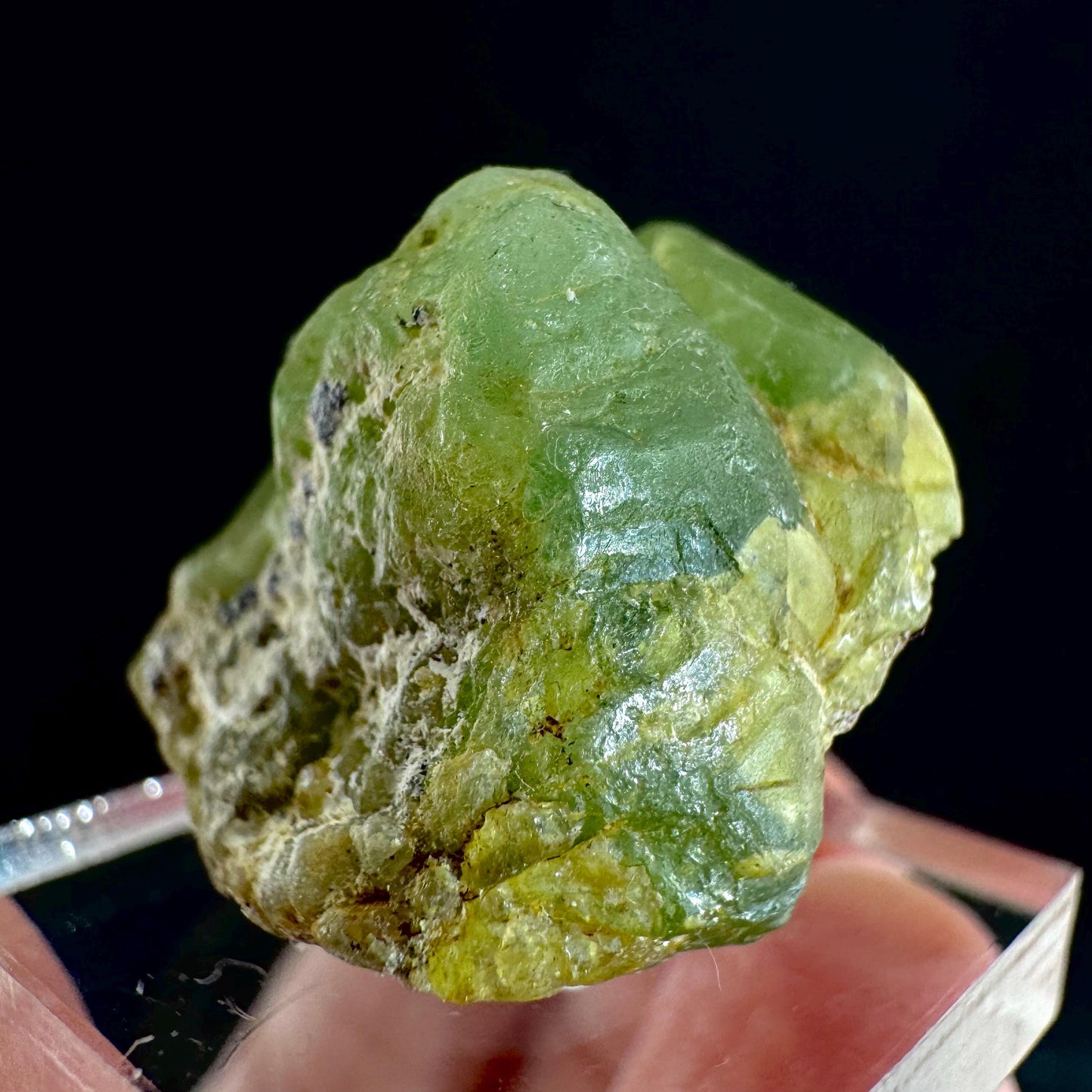 Peridot (Pakistan) | naturally terminated peridot crystal, mineral specimen
