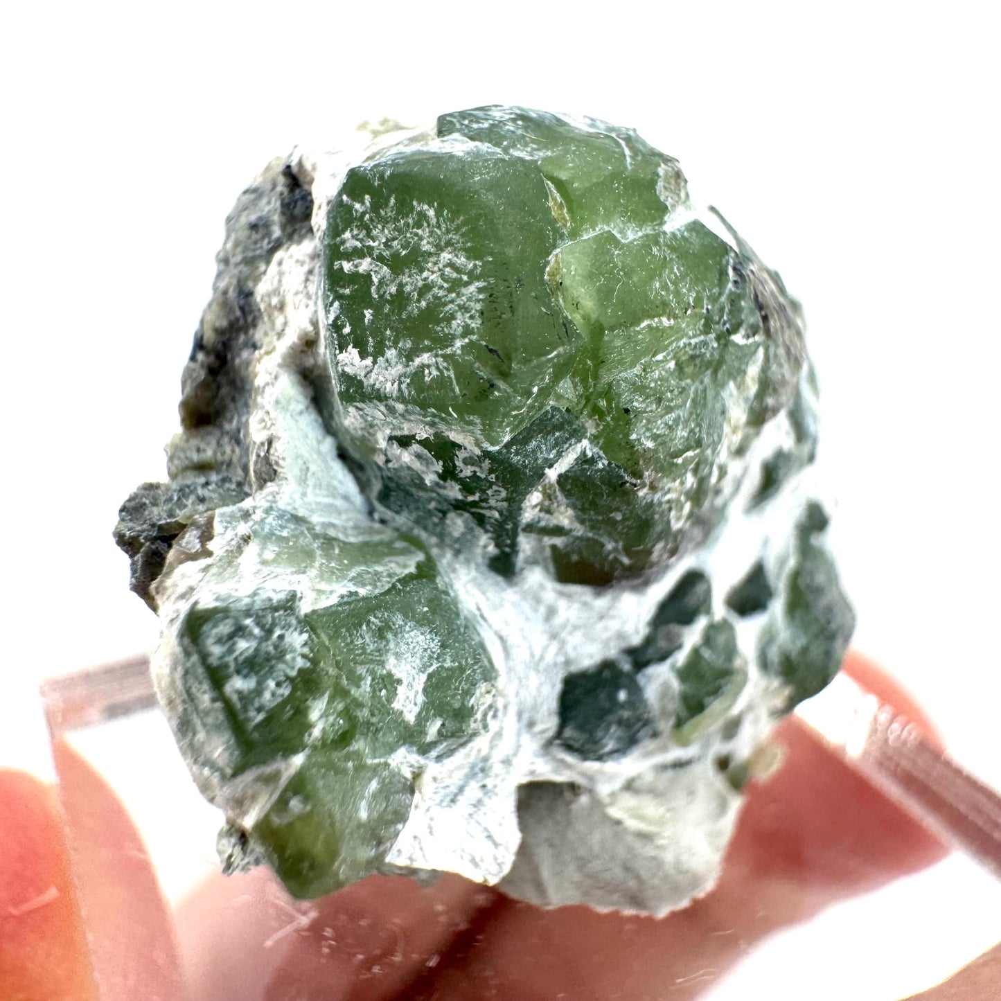 Demantoid Garnet on Matrix (Pakistan) | green garnet crystal, mineral specimen