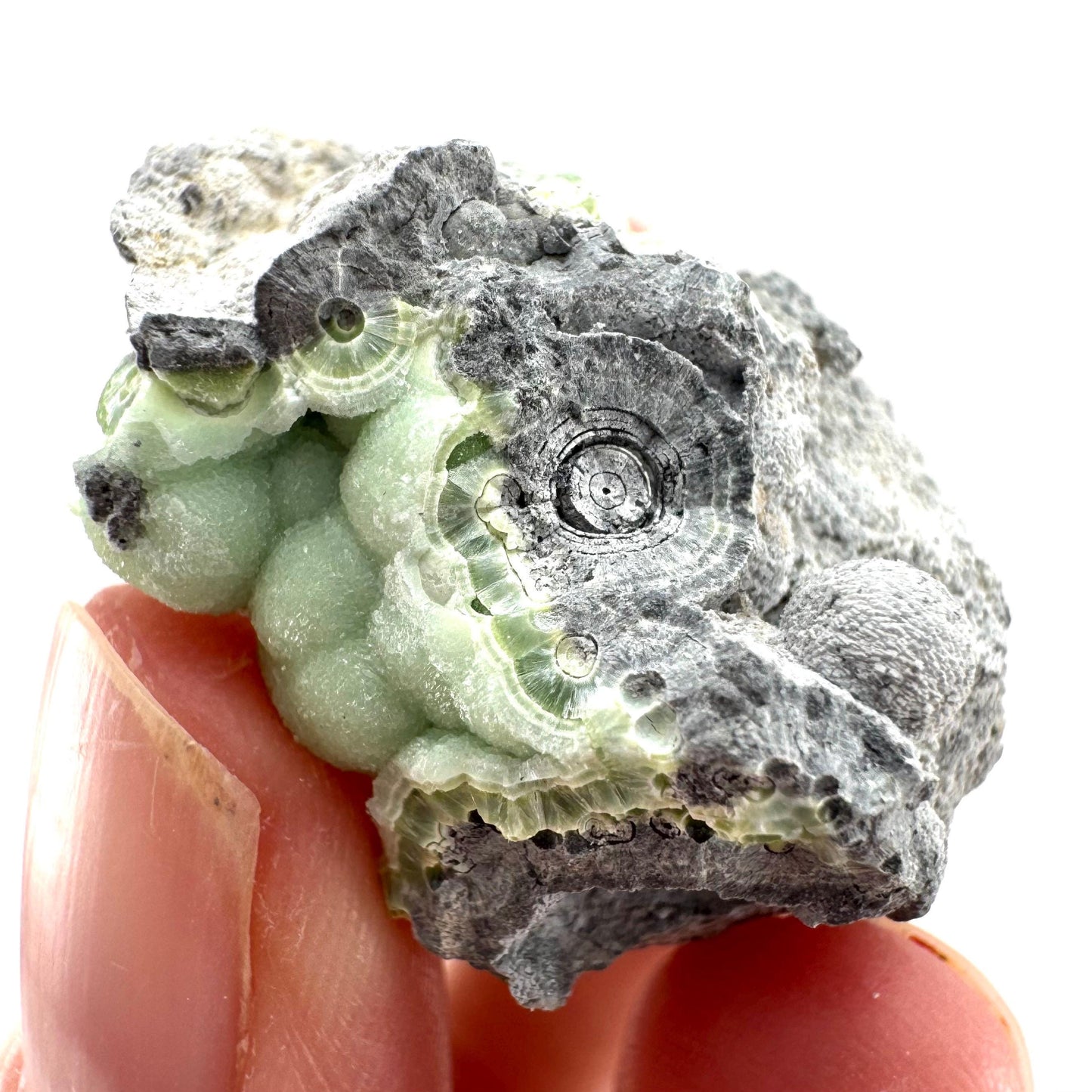 Wavellite (Arkansas, USA) | Wavellite crystal, mineral specimen