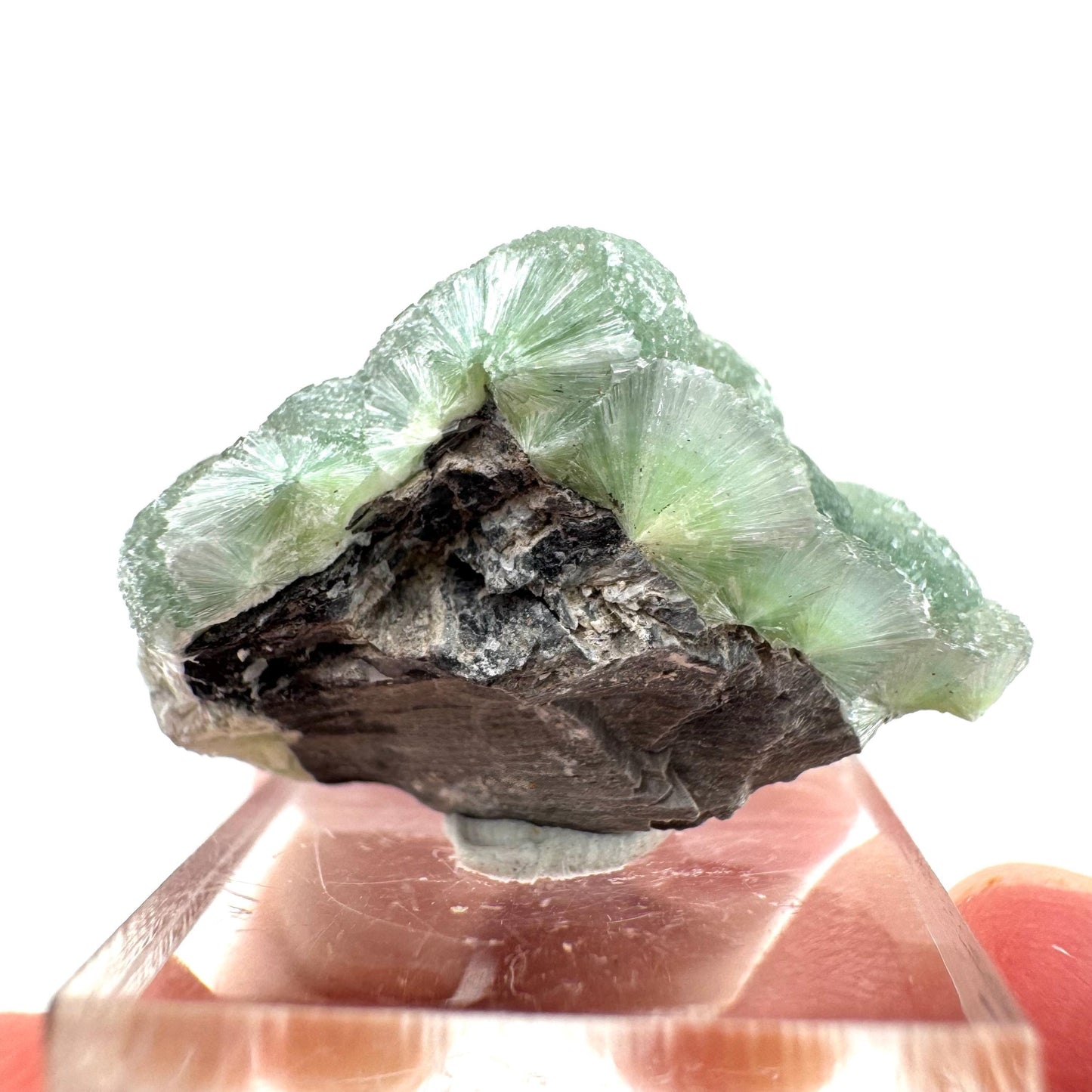 Wavellite (Arkansas, USA) | Wavellite crystal, mineral specimen