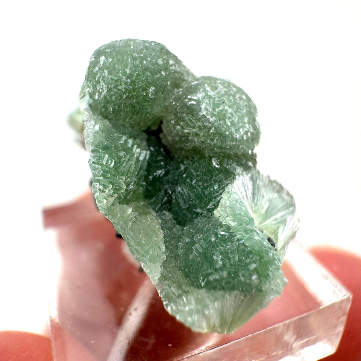 Wavellite (Arkansas, USA) | Wavellite crystal, mineral specimen