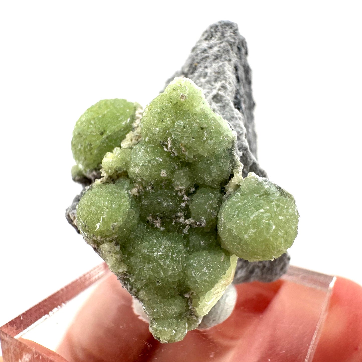 Wavellite (Arkansas, USA) | Wavellite crystal, mineral specimen